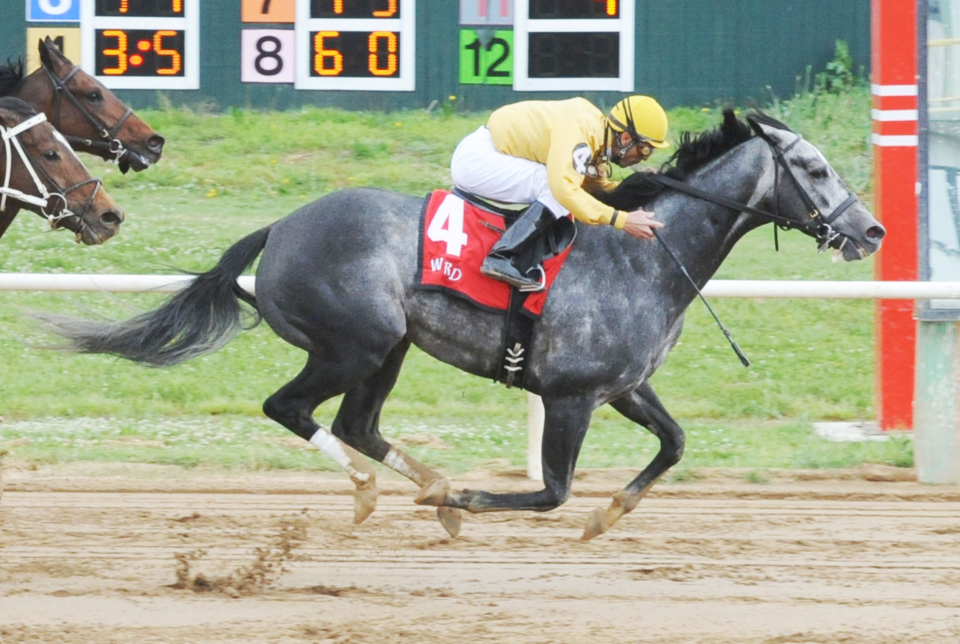 Z Rockstar wins the 2014 Cherokee Nation Classic Cup