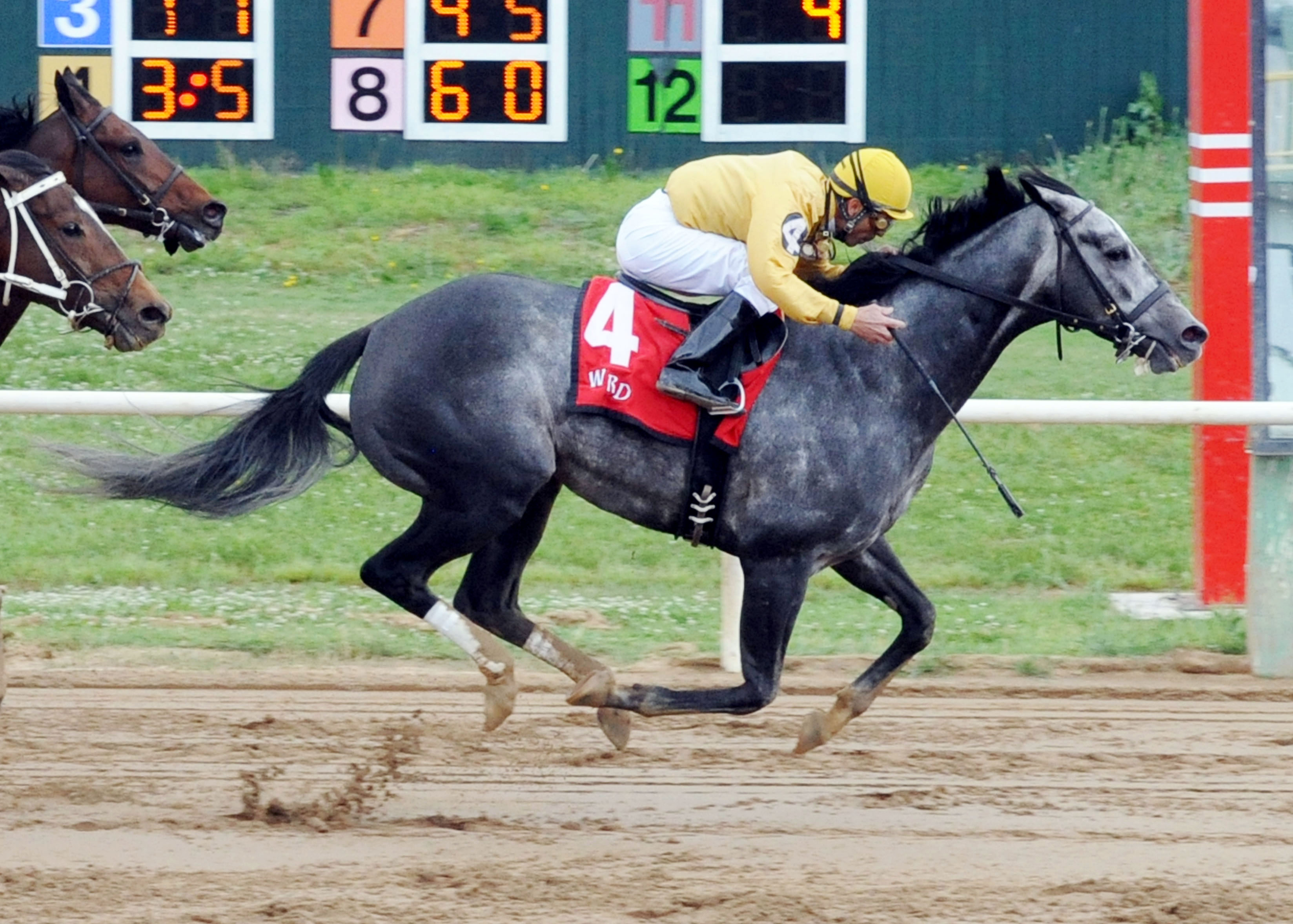 Z Rockstar wins the Cherokee Nation Classic Cup