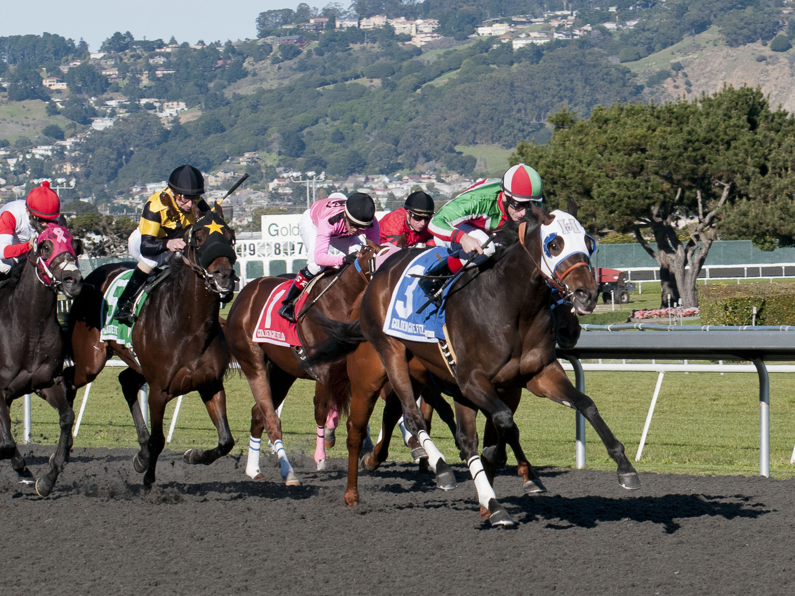 Golden Gate Fields: California Derby begins badly, ends great for Zeewat