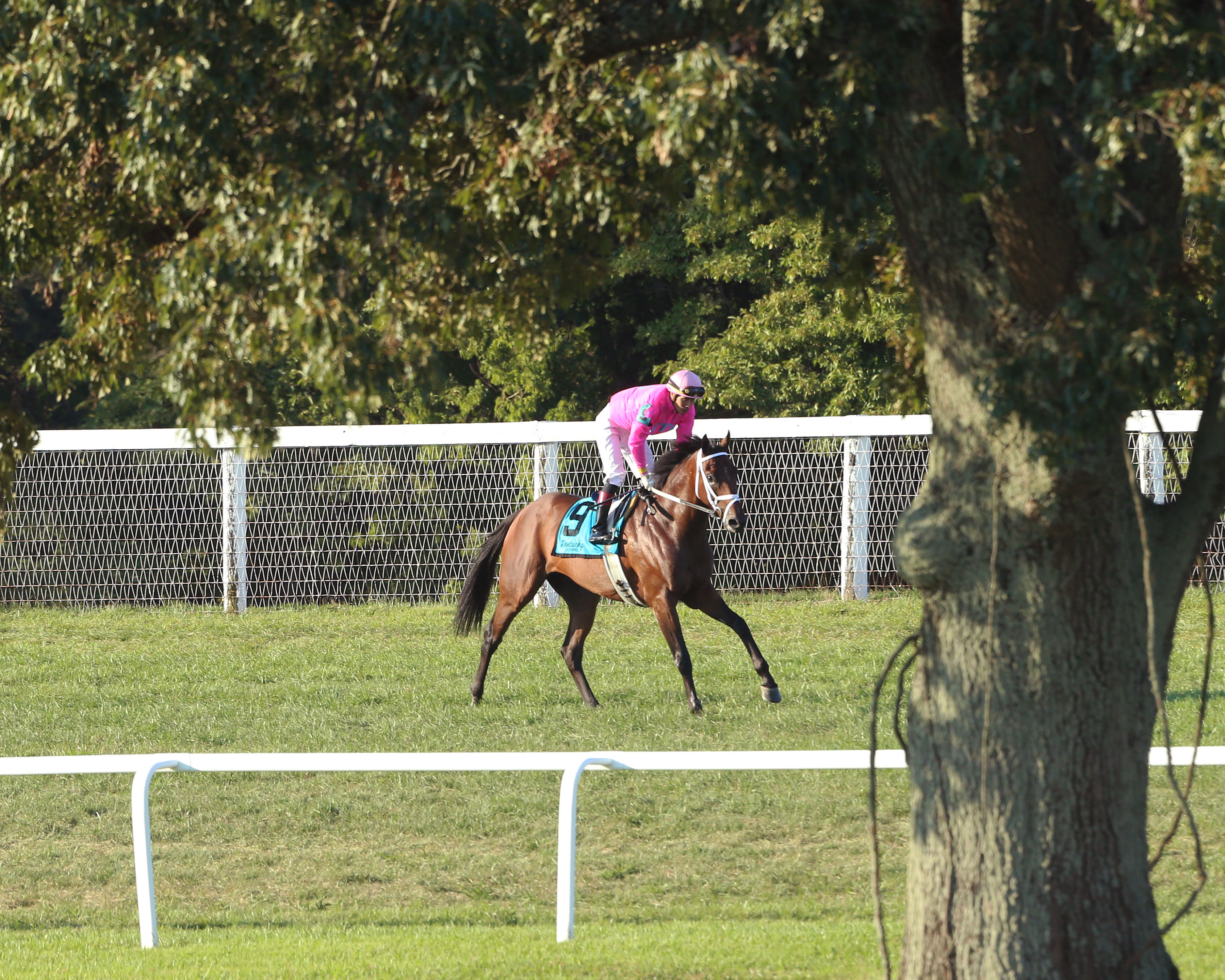 Zulu Alpha following victory in the 2019 Kentucky Turf Cup