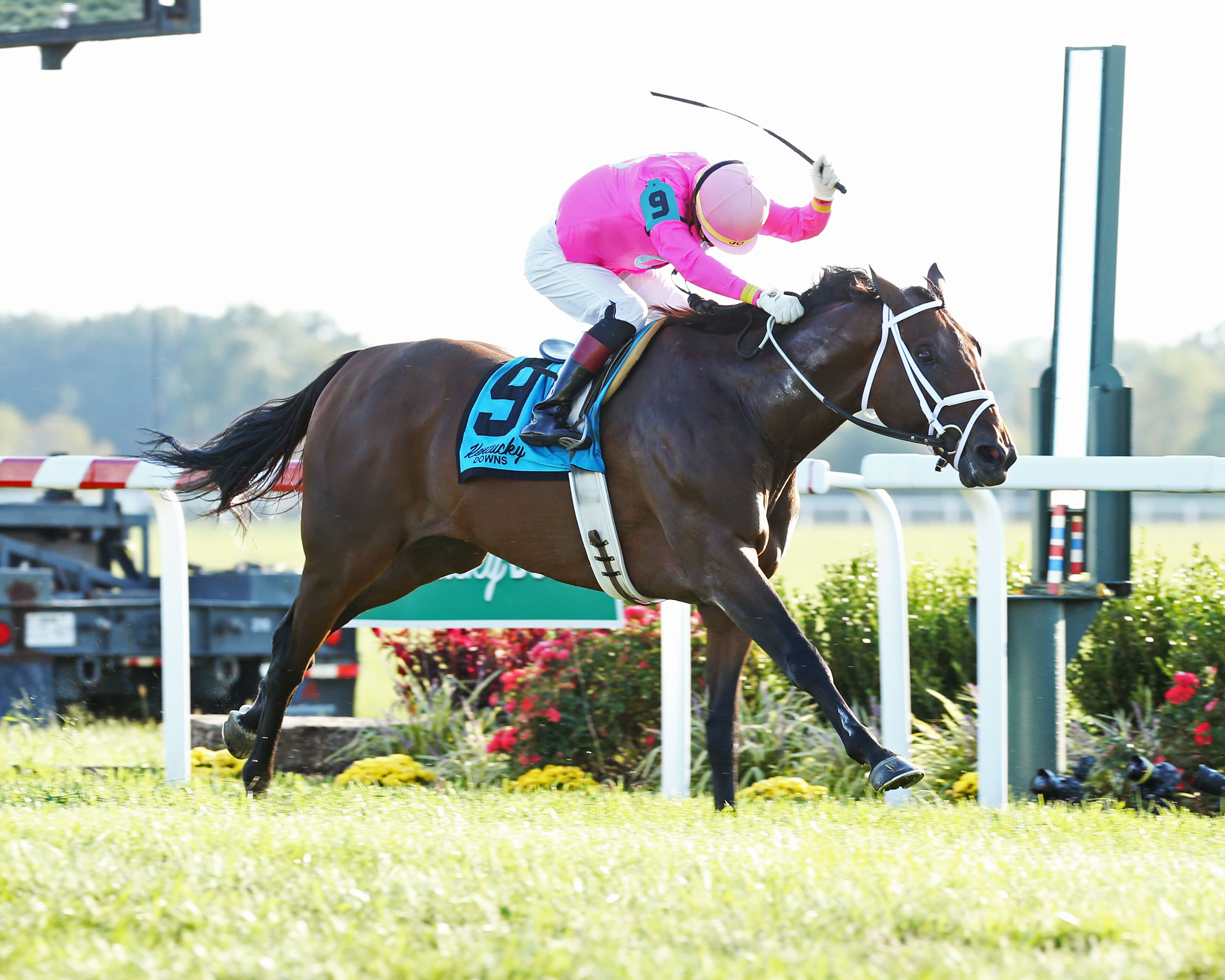 Zulu Alpha wins the 2019 Kentucky Turf Cup