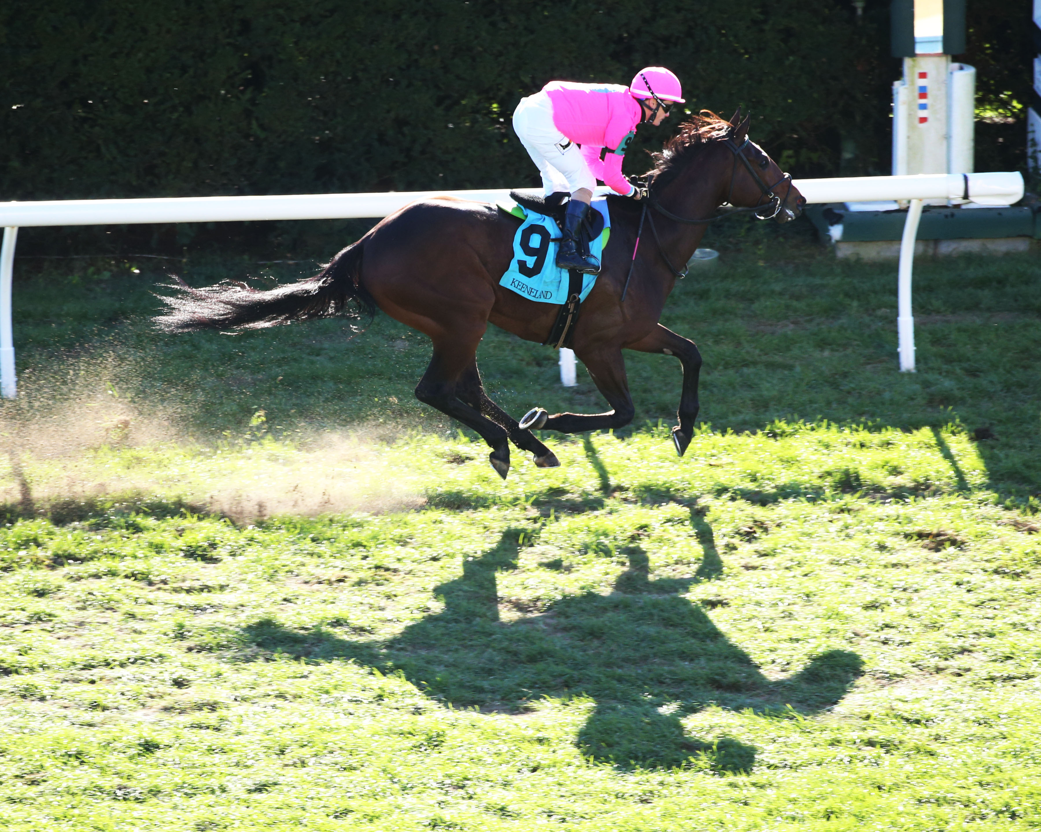 Zulu Alpha wins the 2018 Sycamore Stakes