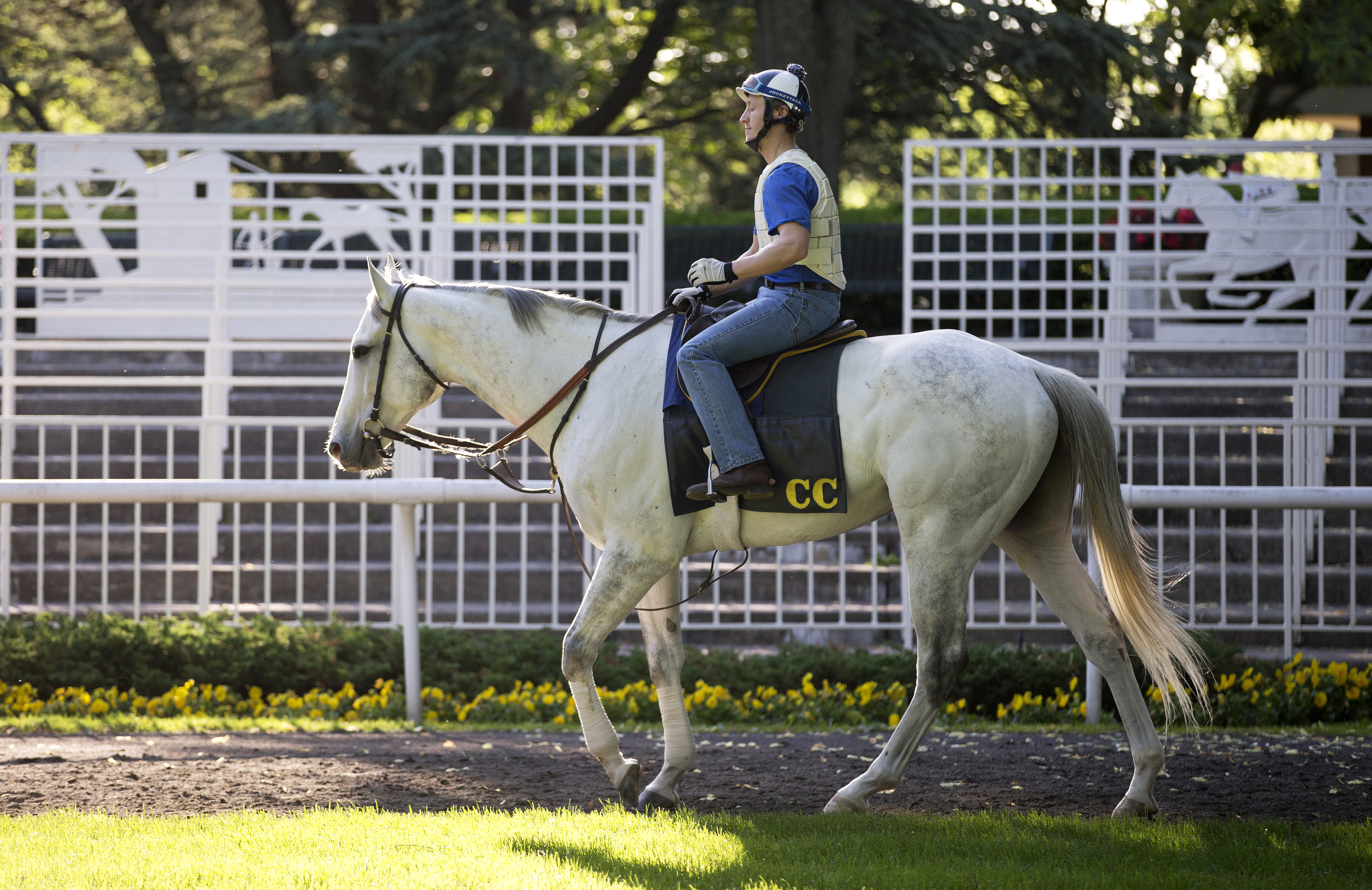 Za Approval at Belmont Park on June 2