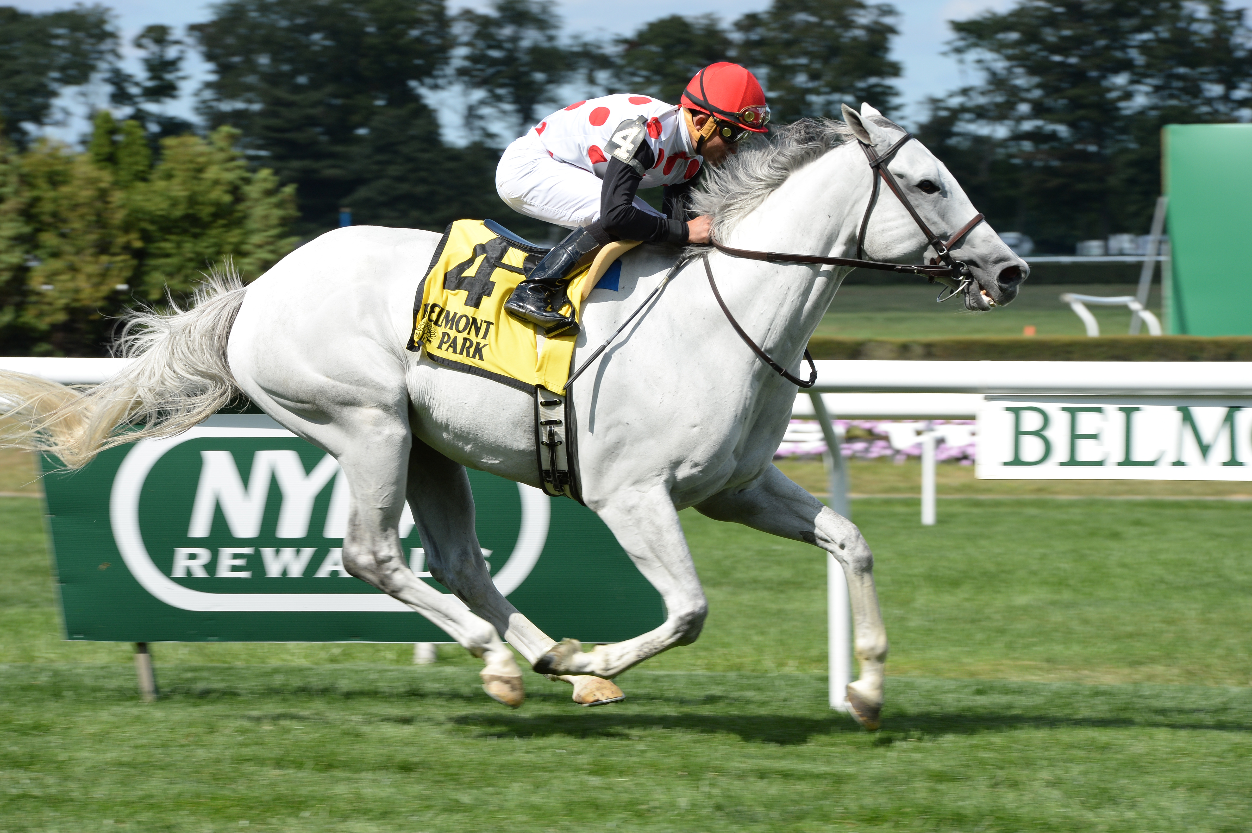 Za Approval win the Real Courage Stakes