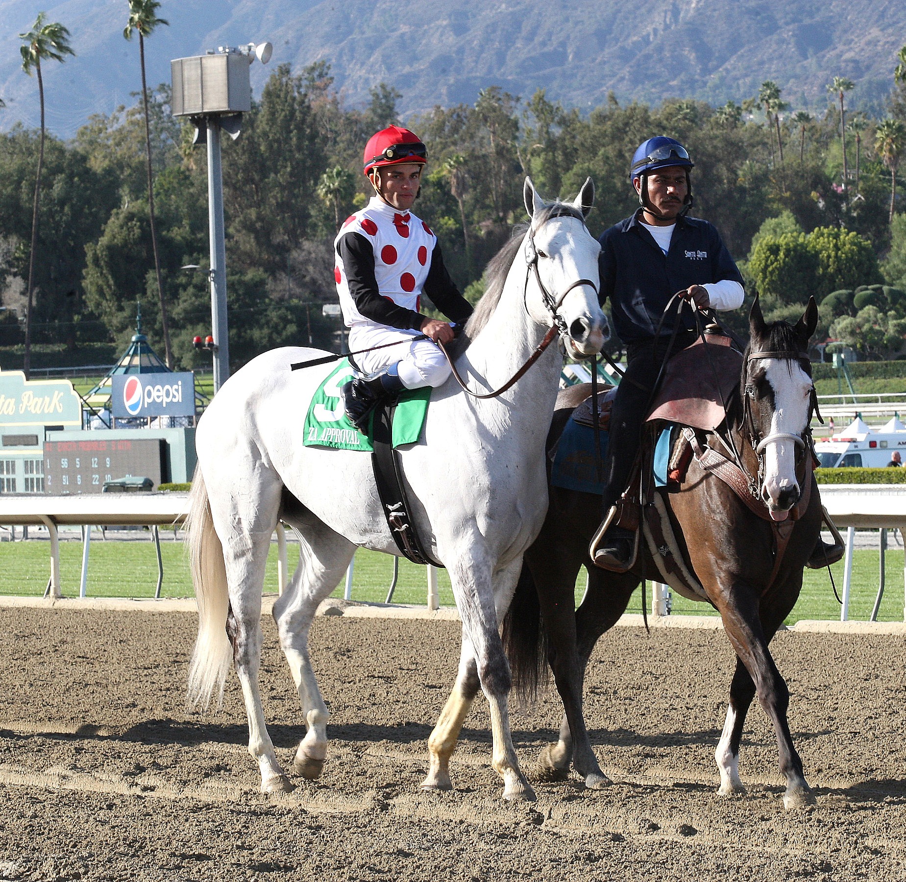 Za Approval, March 2014
