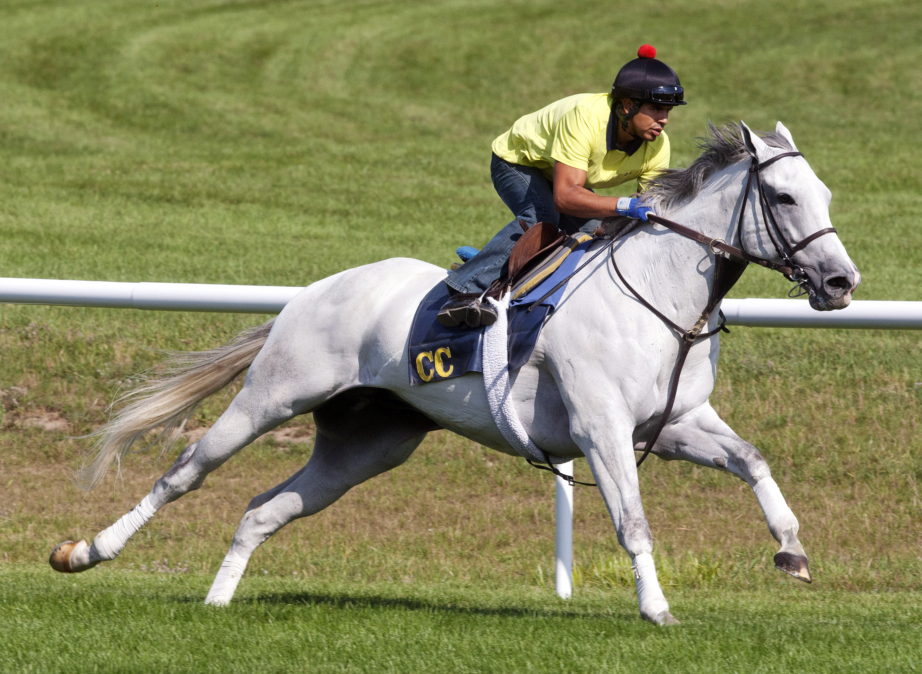 Za Approval trains at Saratoga