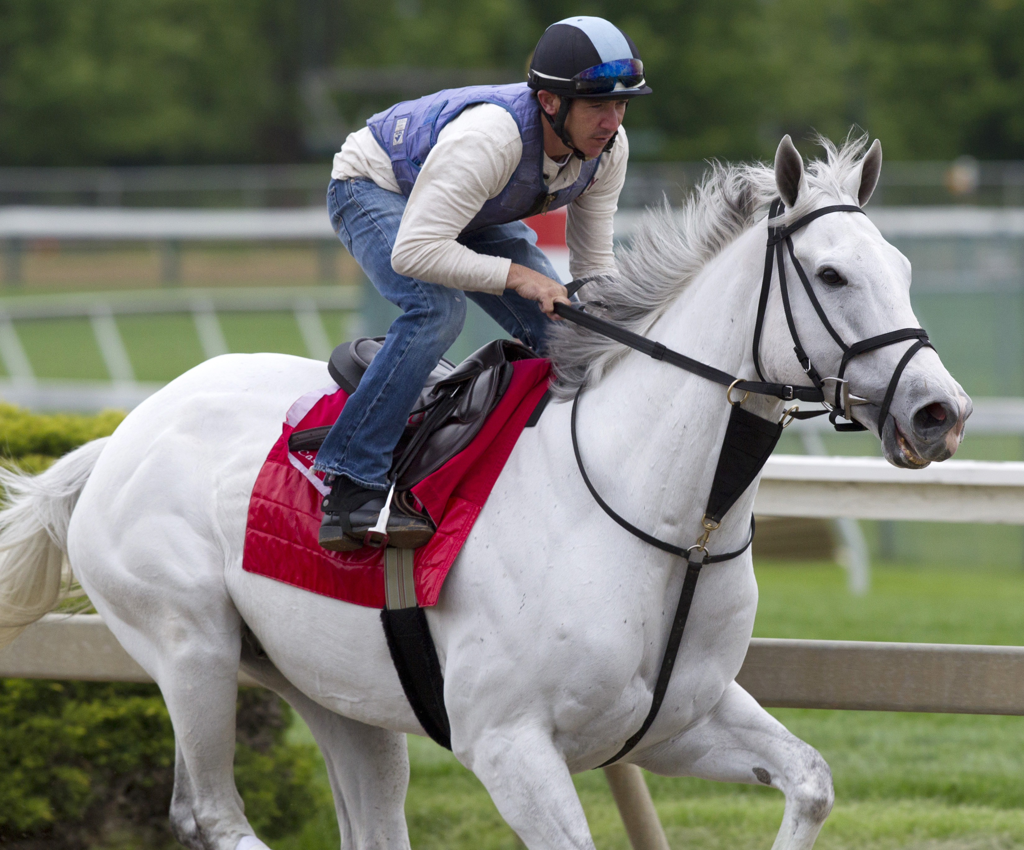 Za Approval trains at Pimlico on May 19