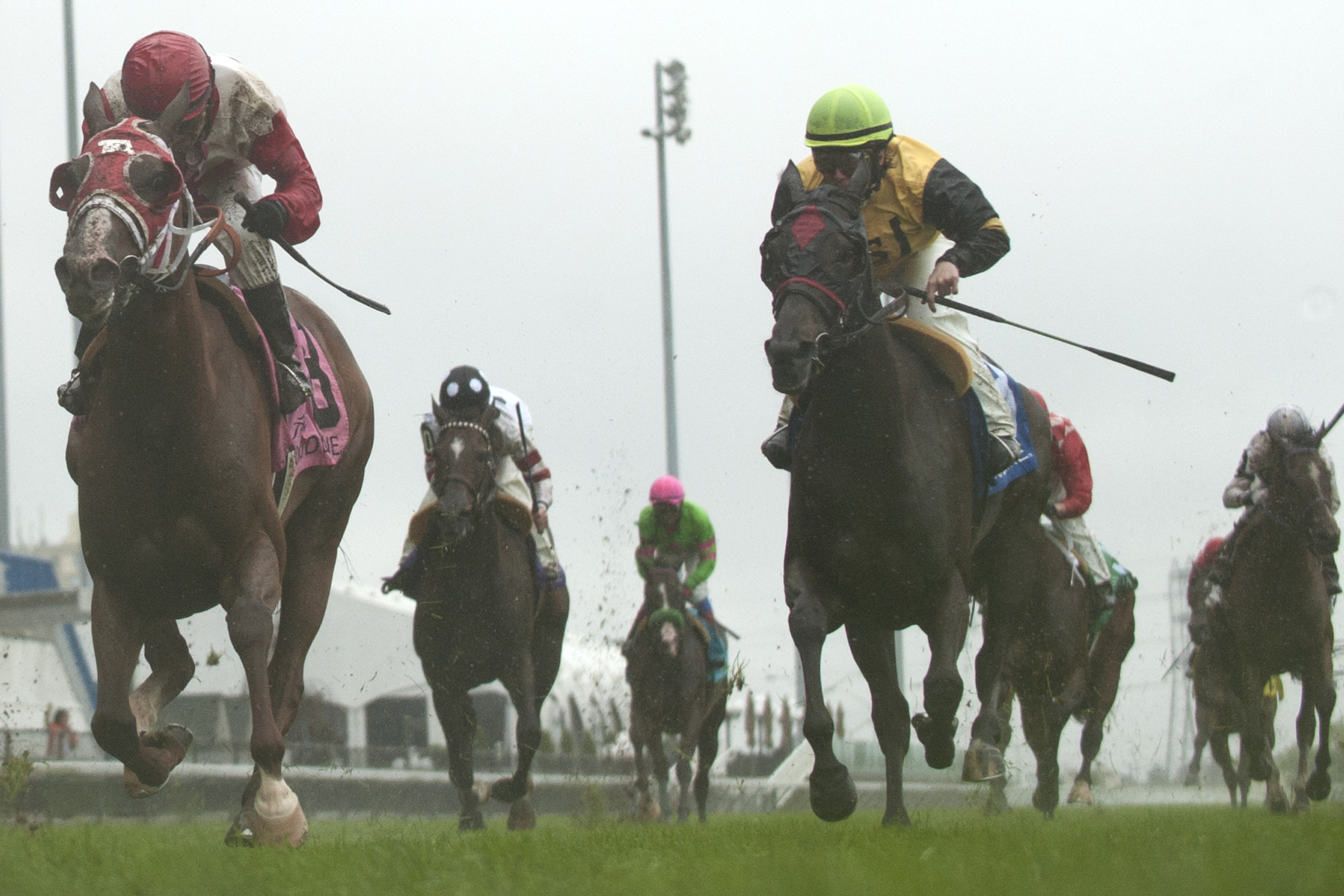 Surtsey wins 2015 Zadracarta