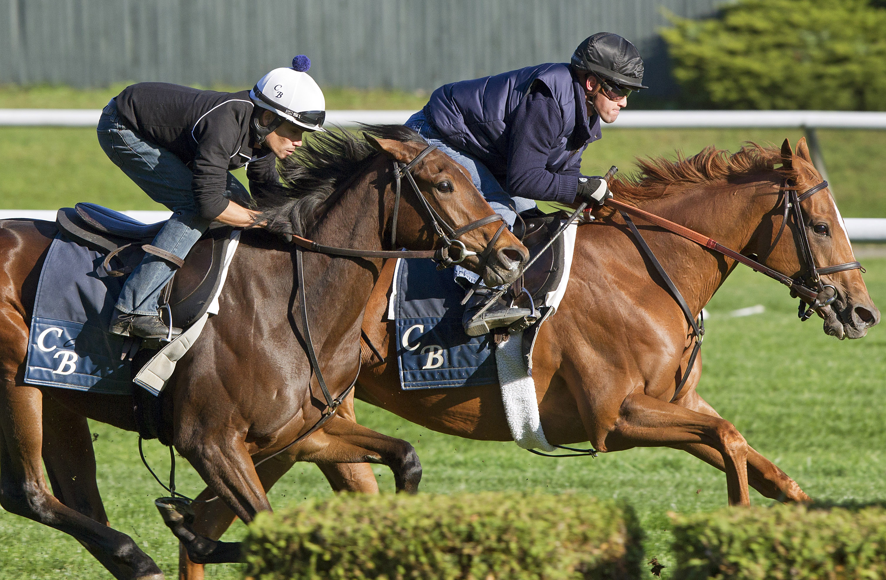 Zagora and Flashy Girl work at Belmont