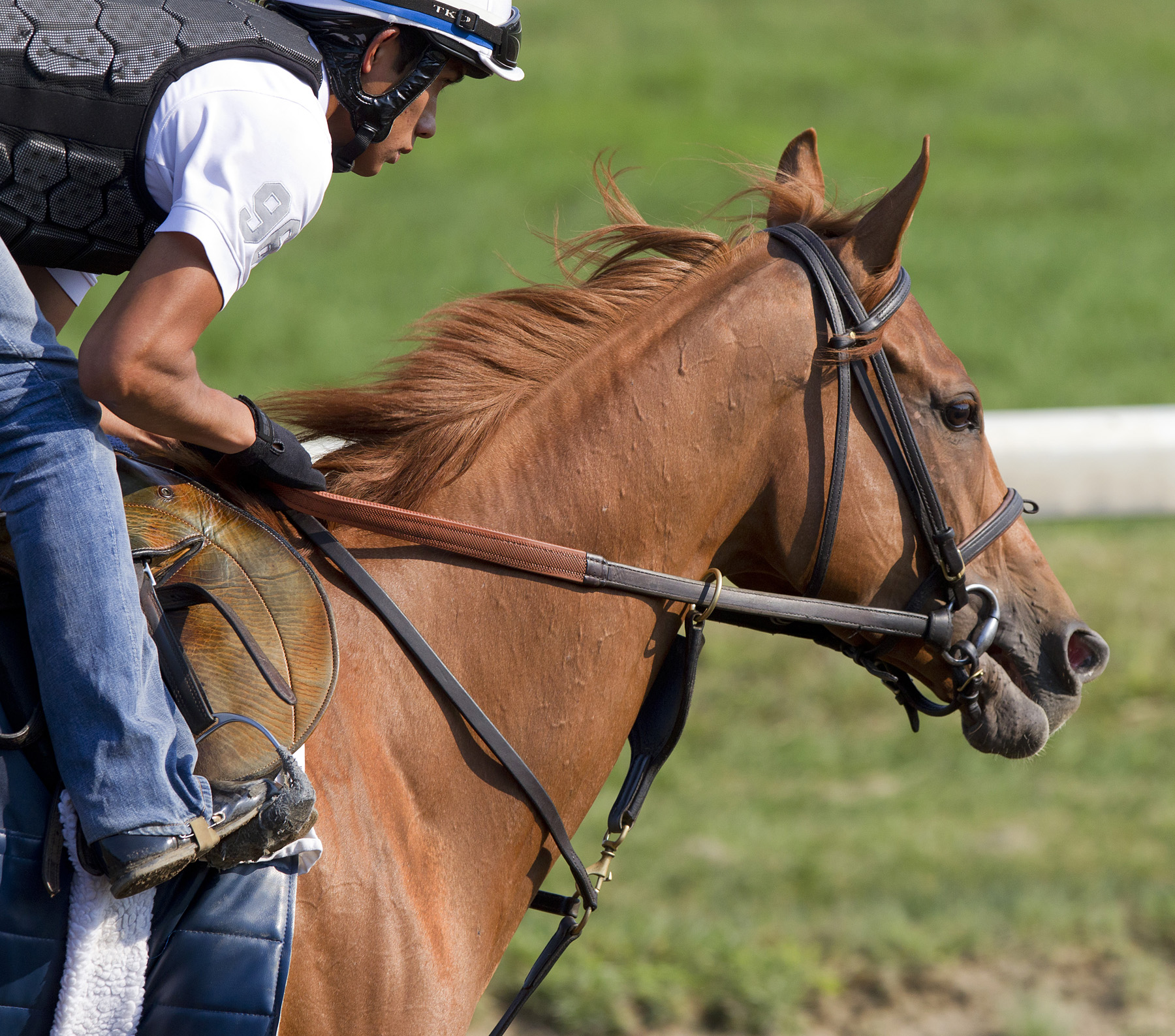 Zagora training at Saratoga