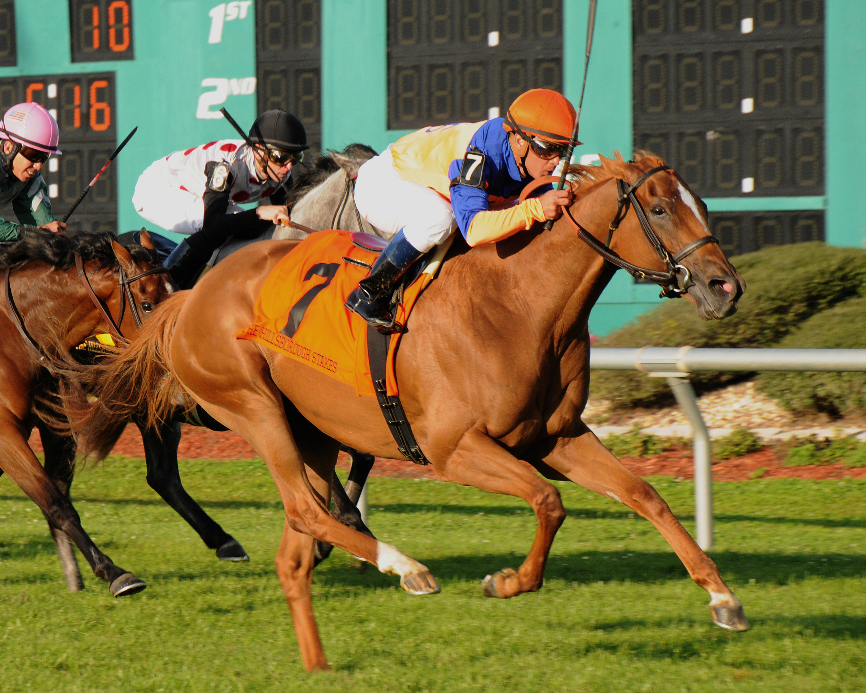 Zagora/Hillsborough Stakes