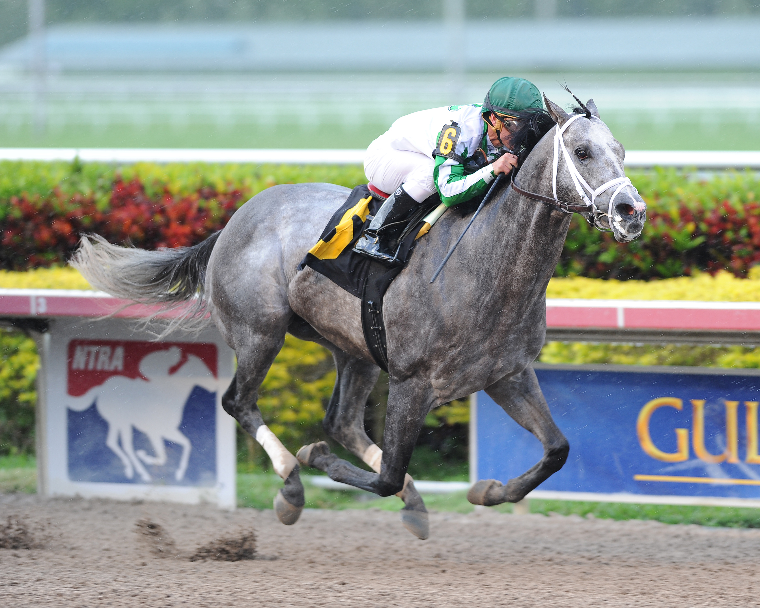 Zaikov, Dec. 13 allowance win