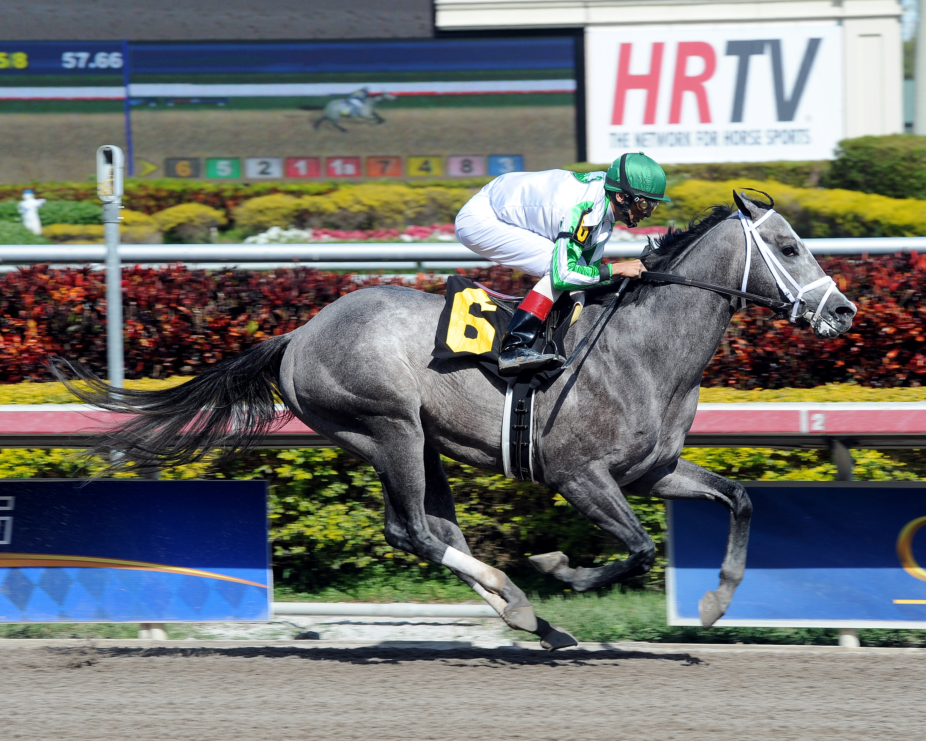 Zaikov, maiden win