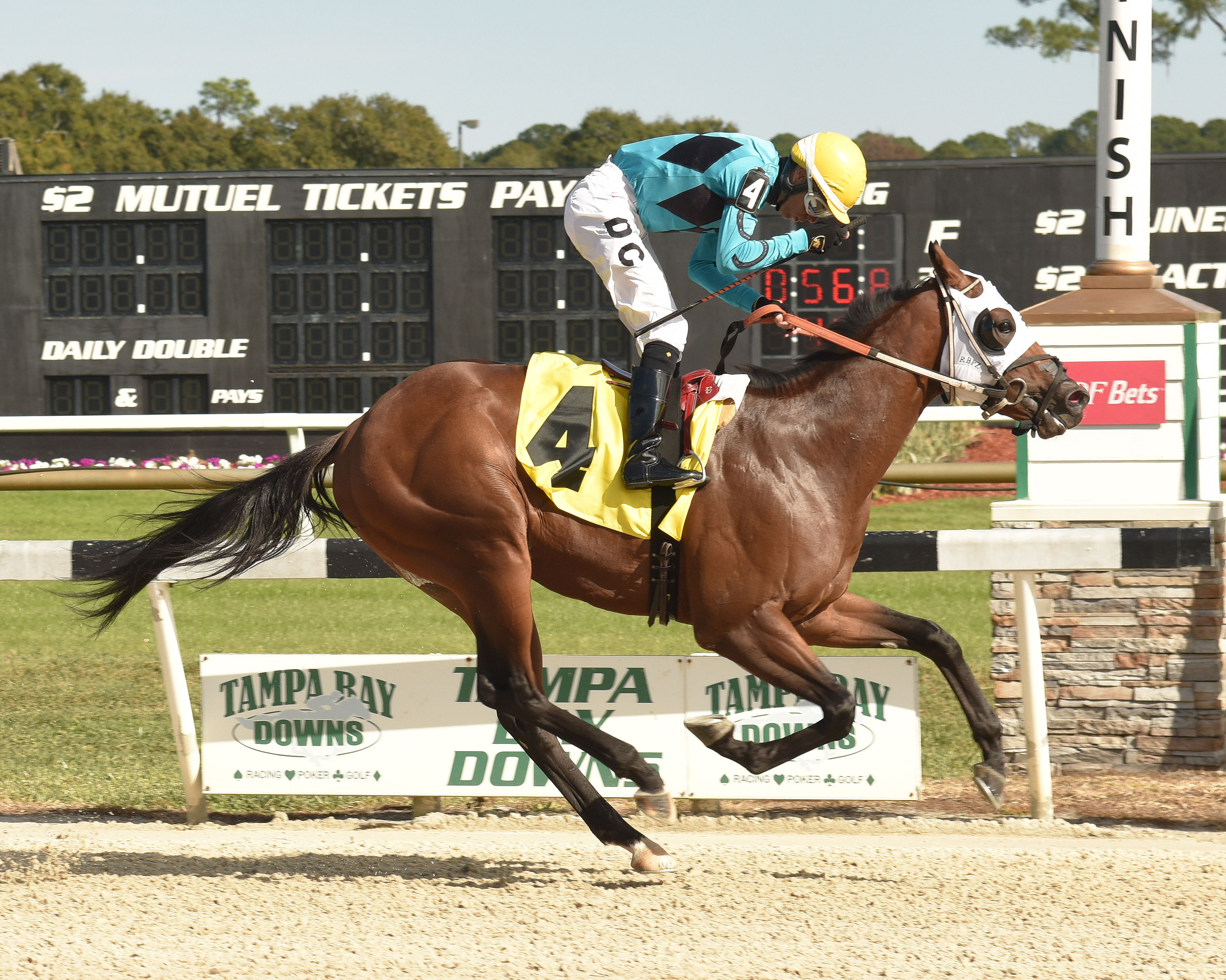 Zaino Boyz wins the Inaugural Stakes at Tampa Bay Downs 12-7-2019