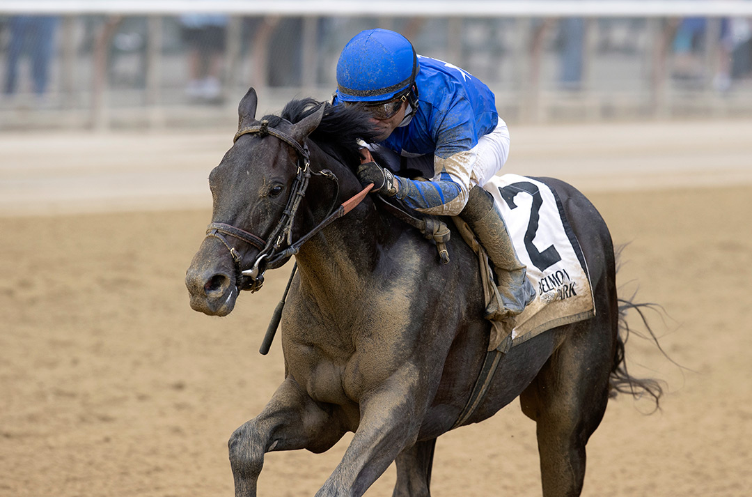 Zandon wins an Oct. 9 maiden race at Belmont Park