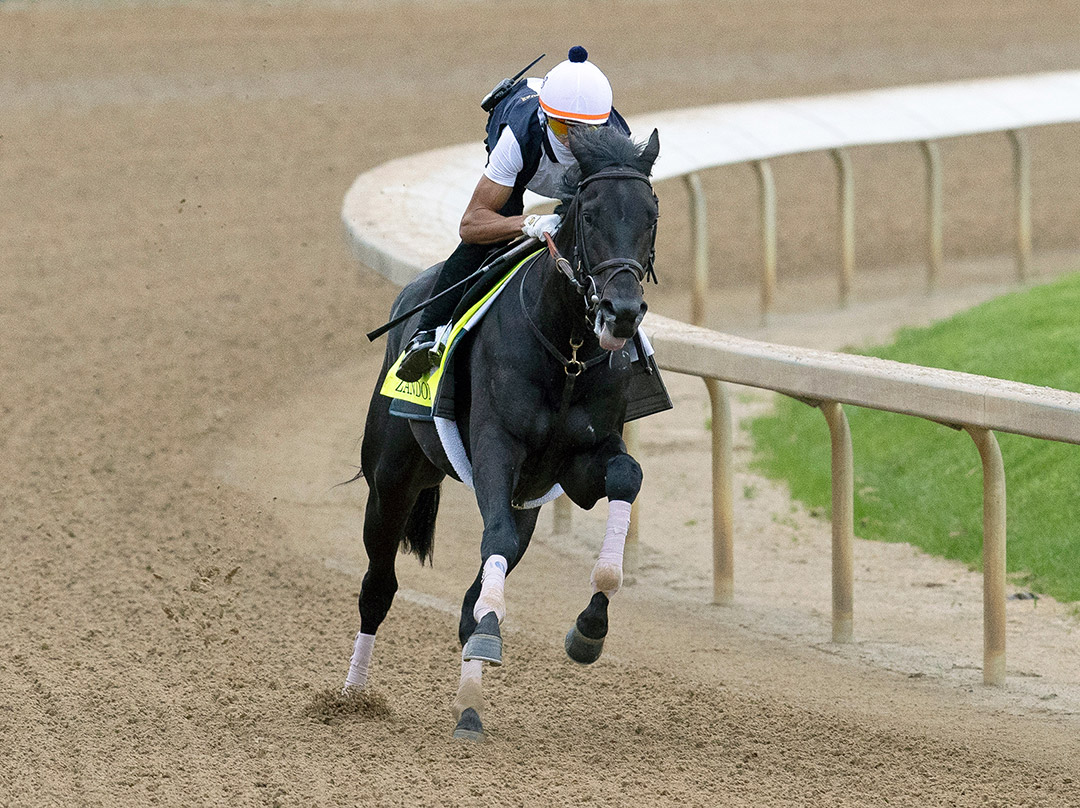 Zandon trains at Churchill Downs on April 29