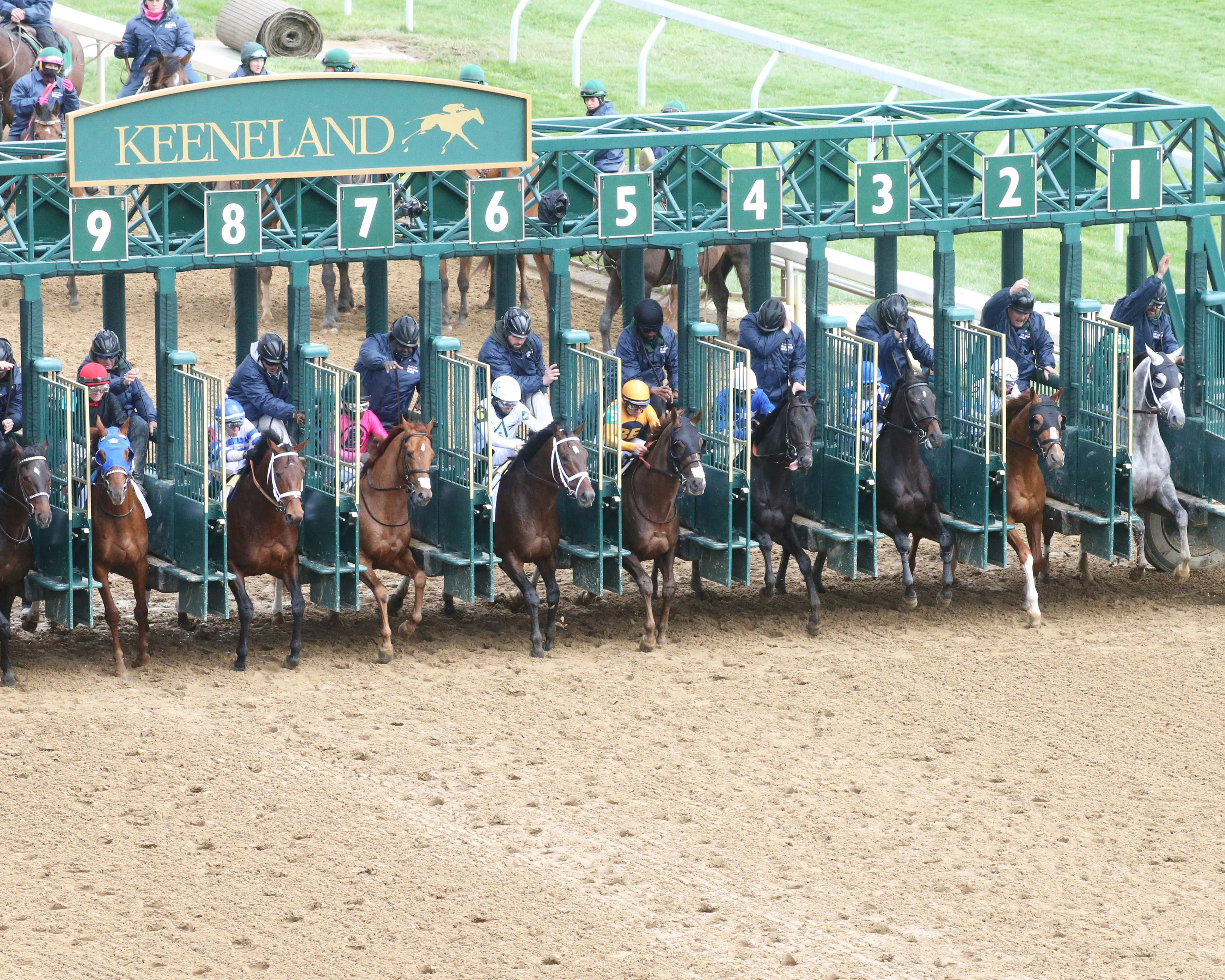 Keeneland gate