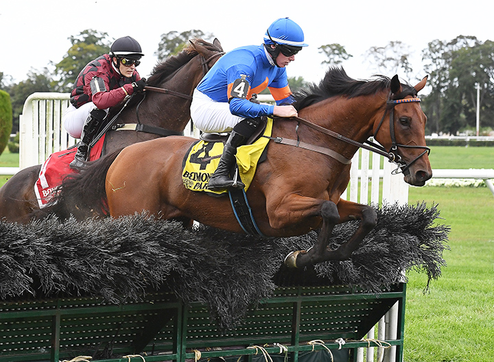 Zanjabeel - Eclipse Awards 2018