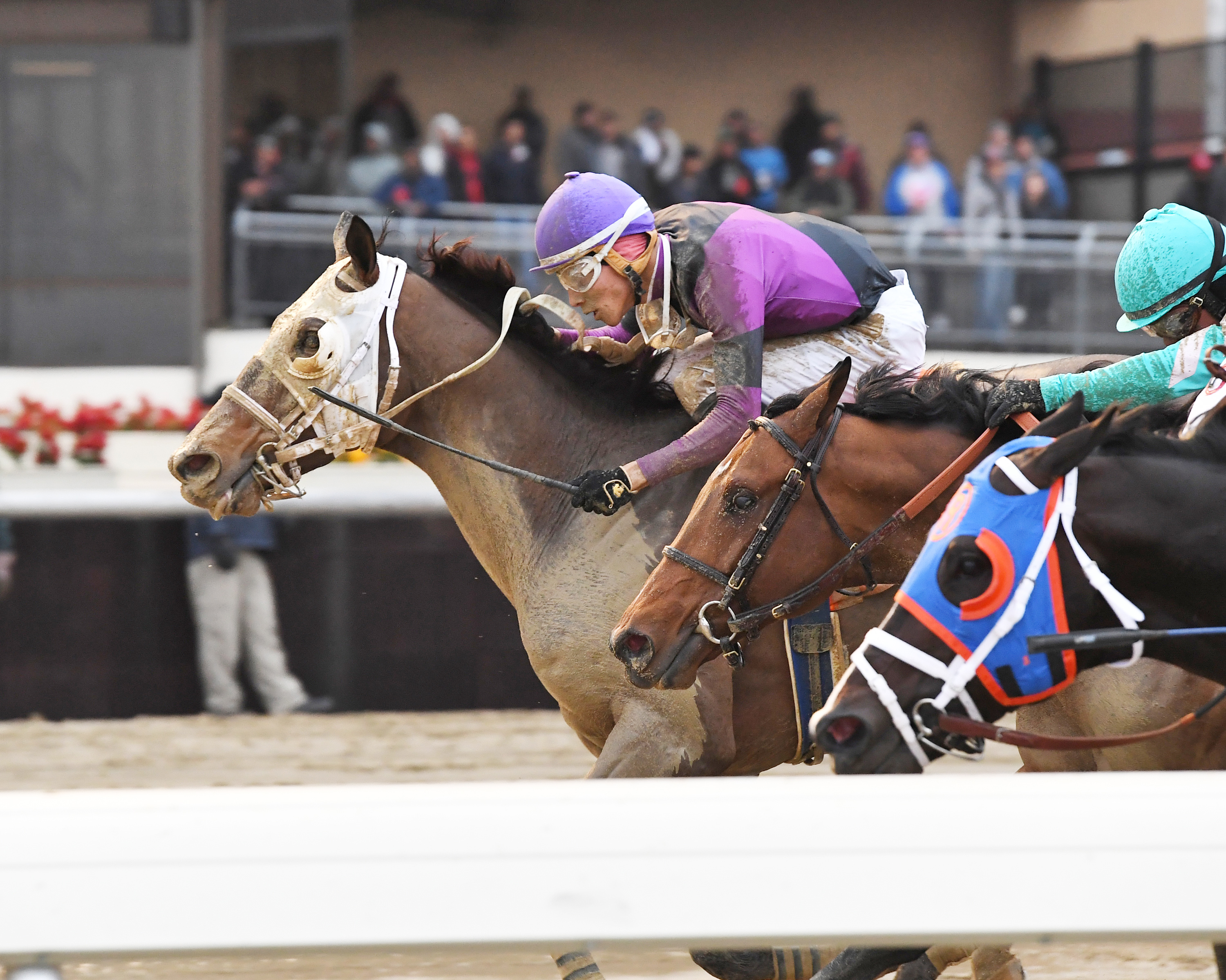 Zanotti wins the Queens County Stakes