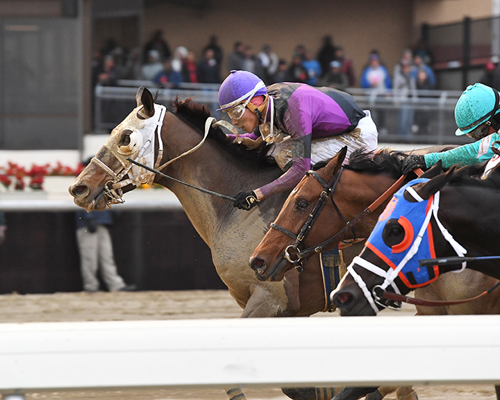 Zanotti wins the 2017 Queens County Stakes