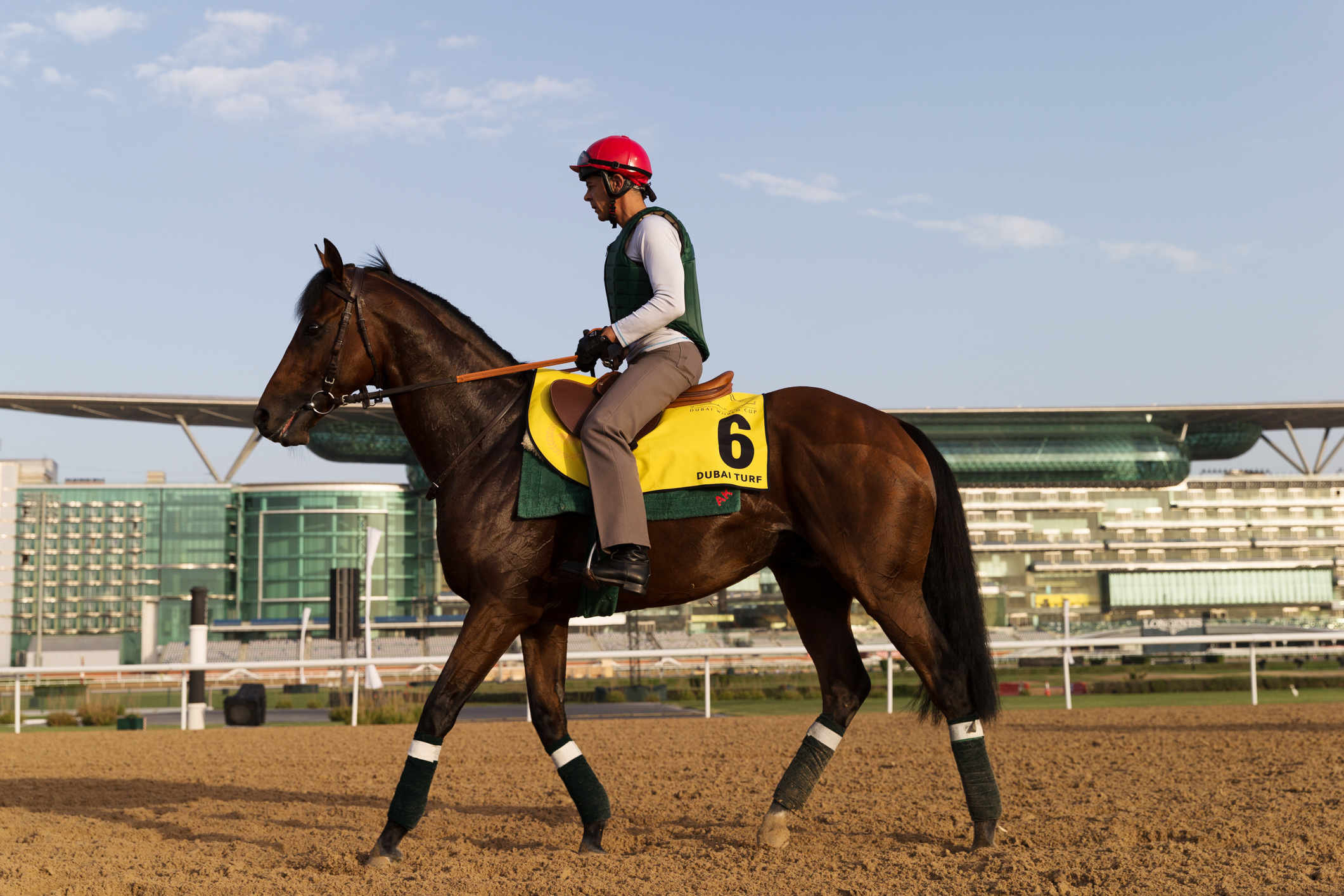 Zarak at Meydan on March 19