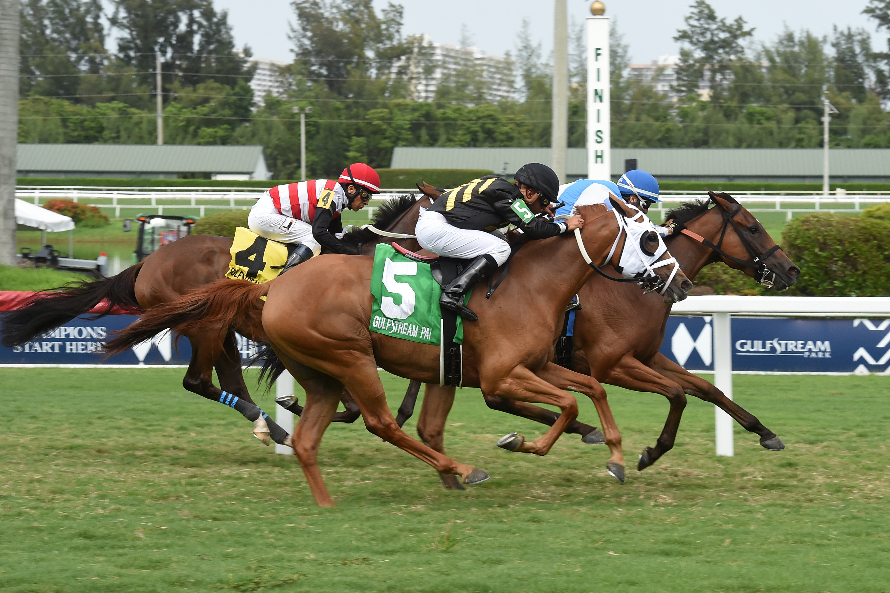 Red Rounder (No. 5) finishes second in the 2019 Martha Washington Stakes
