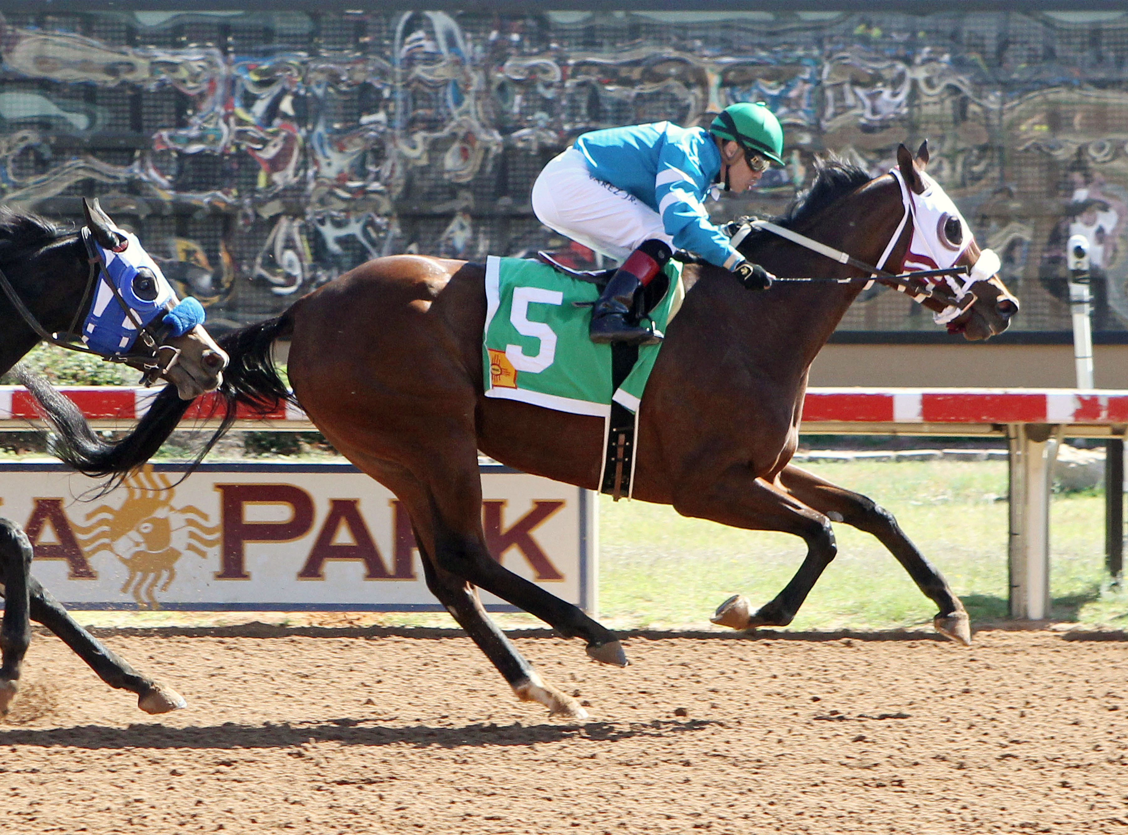 Zasha wins the 2016 New Mexico Classic Championship