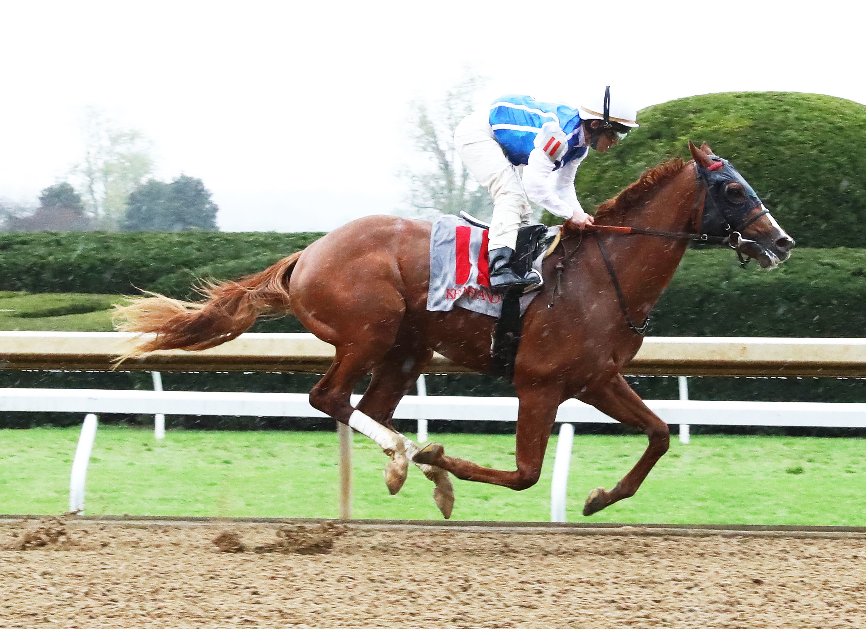 Zatip wins a Keeneland maiden race Oct 28 2021