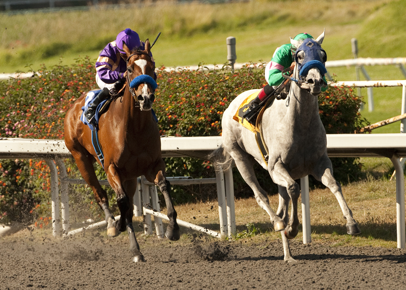 Zazu/Hollywood Oaks
