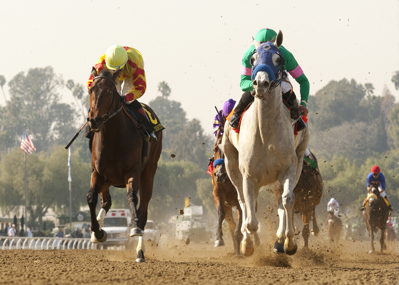 Zazu (right), Las Virgenes, Feb. 5, 2011