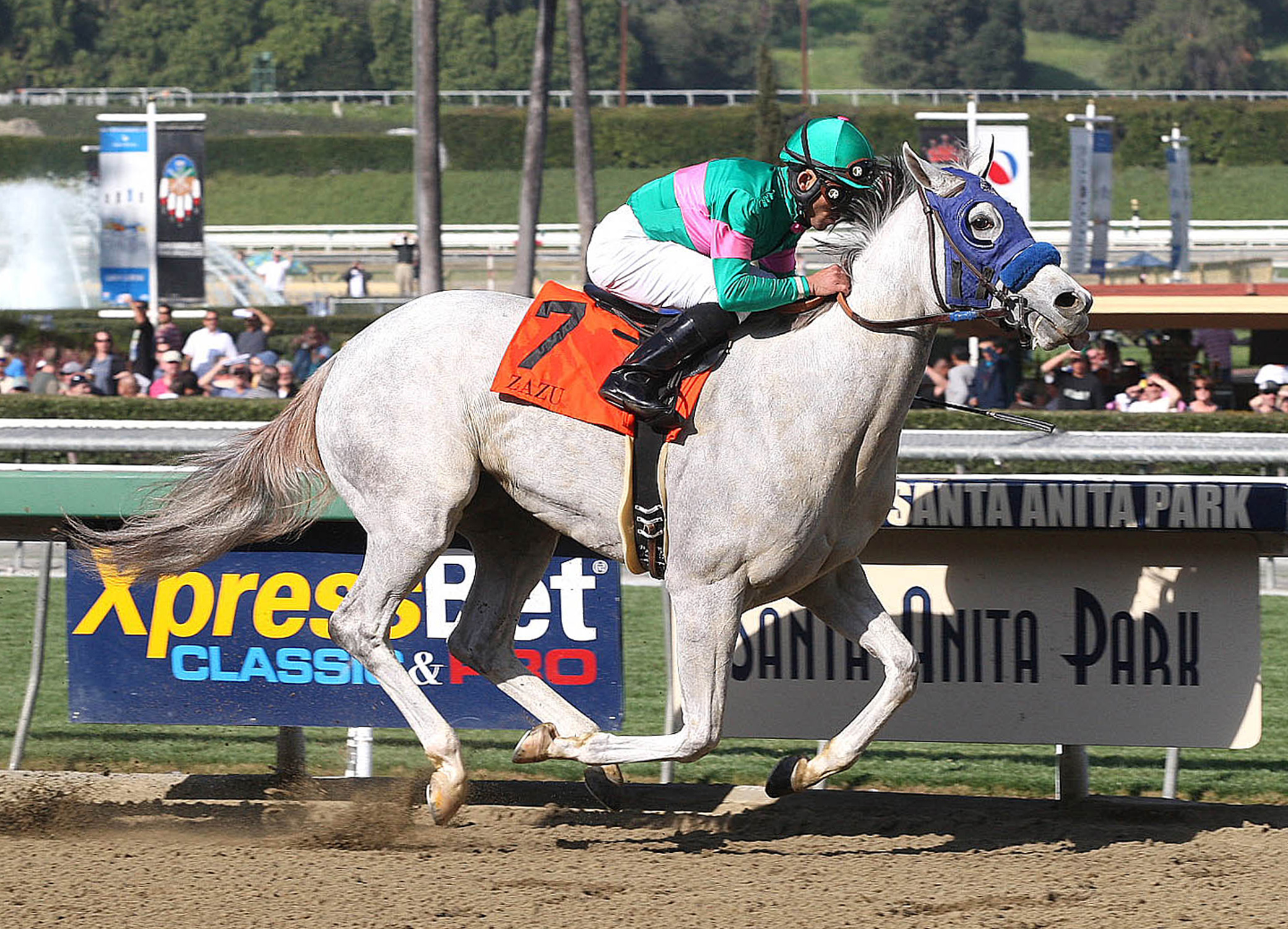 Zazu wins Las Virgenes