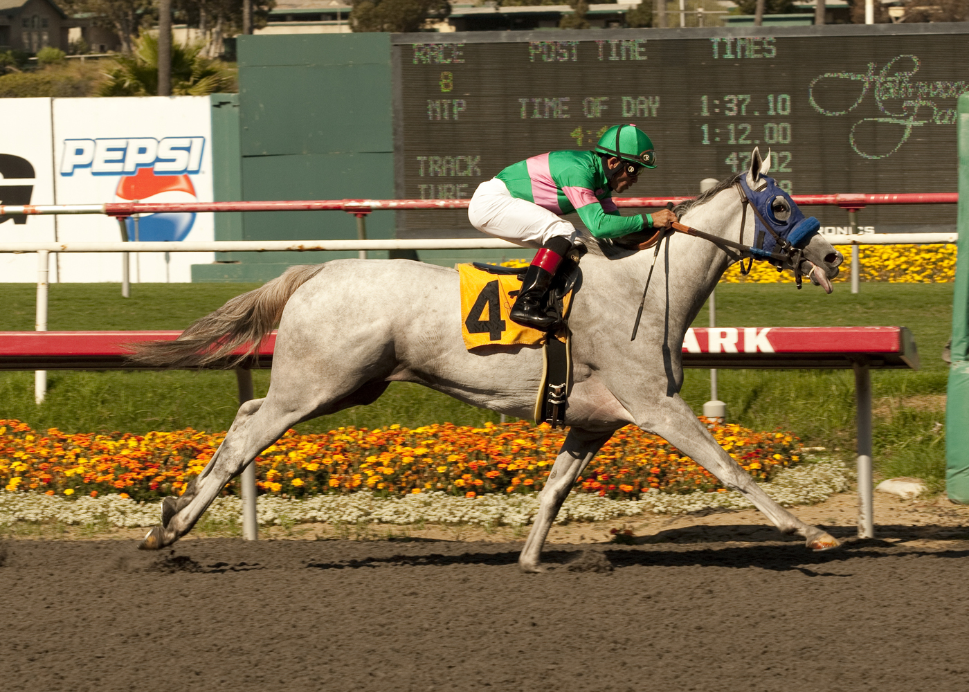 Zazu/Hollywood Oaks