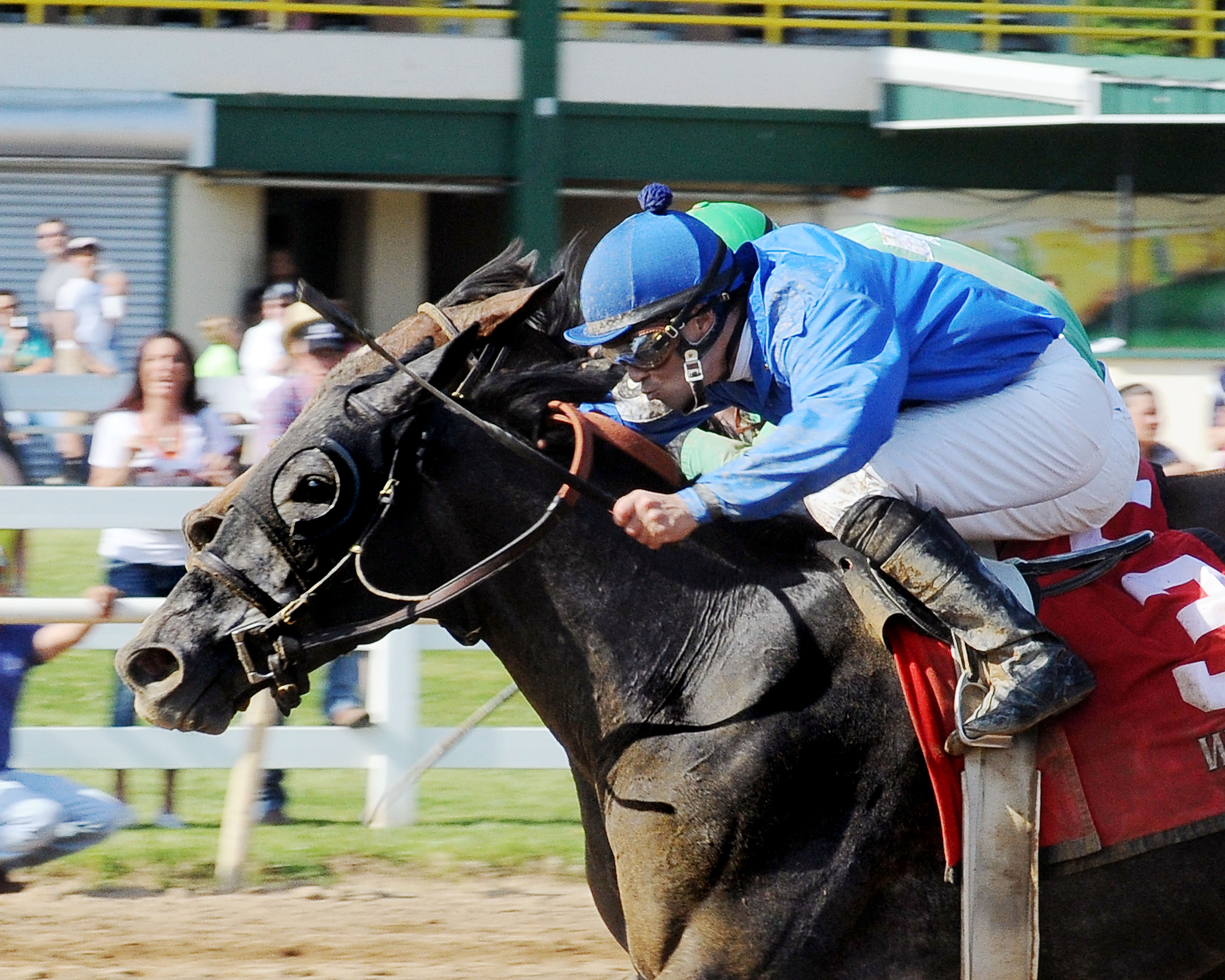 Zealous Vision wins the Oklahoma Stallion Fillies Stakes
