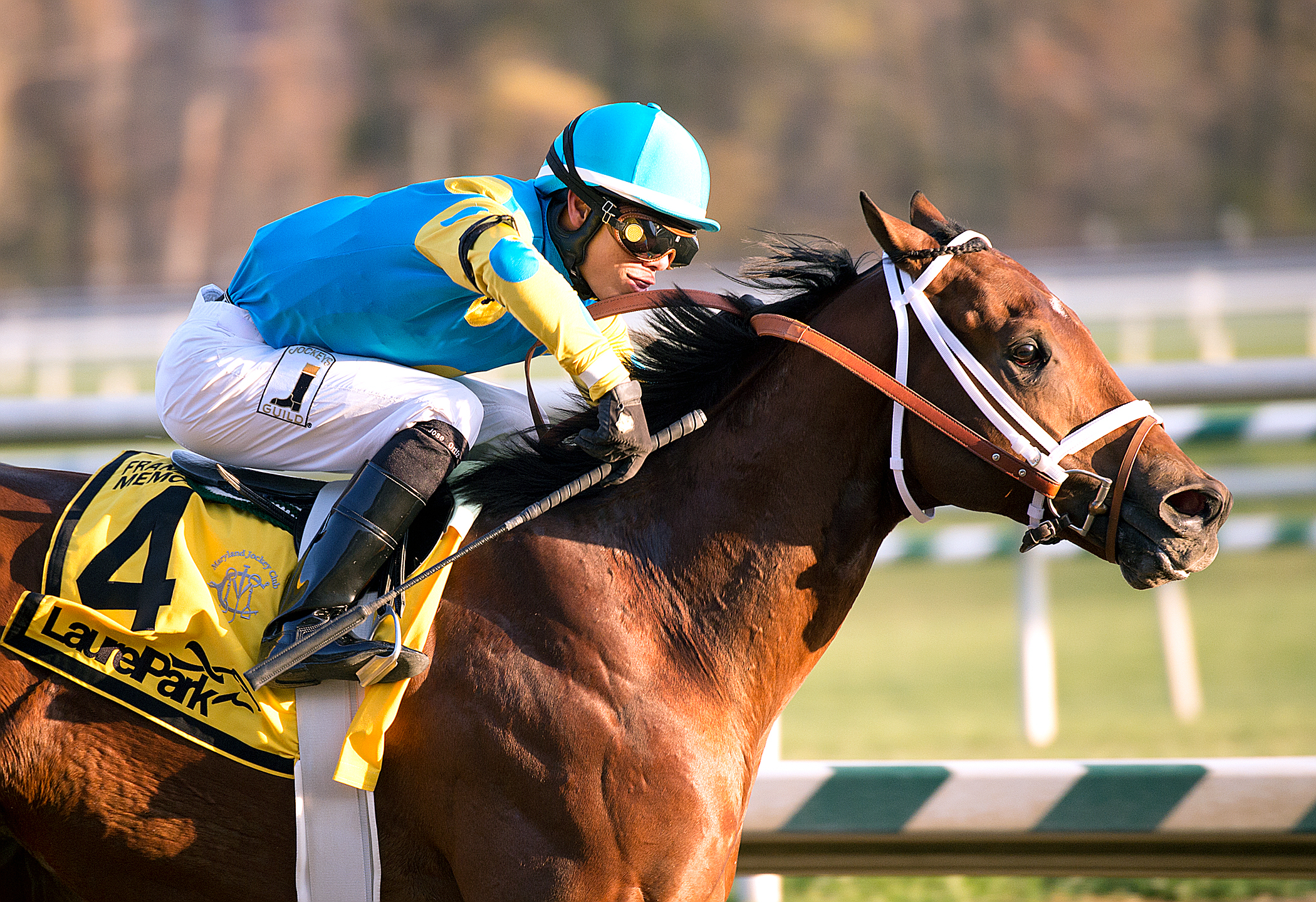 Zee Bros wins the Frank J. De Francis Memorial Dash