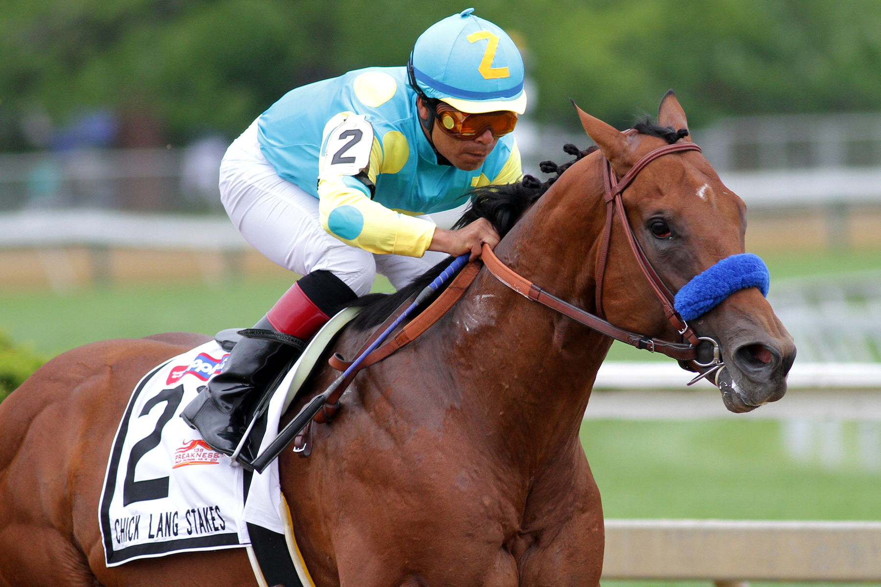 Zee Bros, Chick Lang Stakes