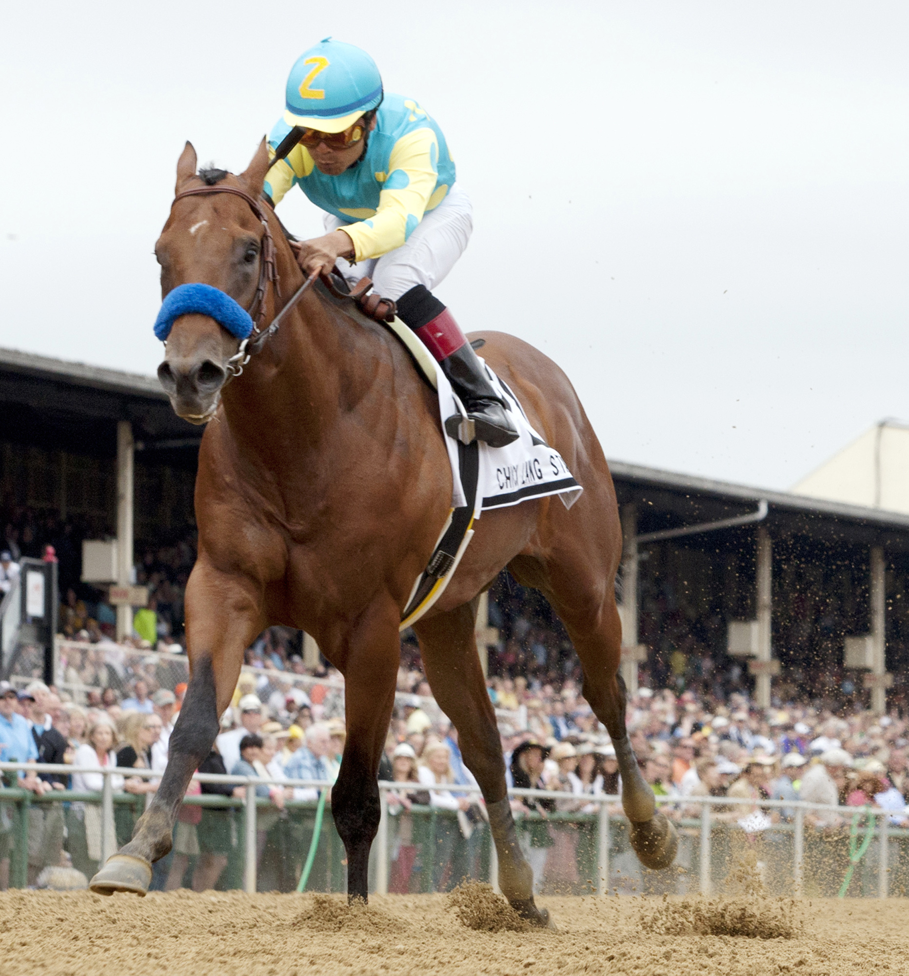 Zee Bros wins the 2013 Chick Lang