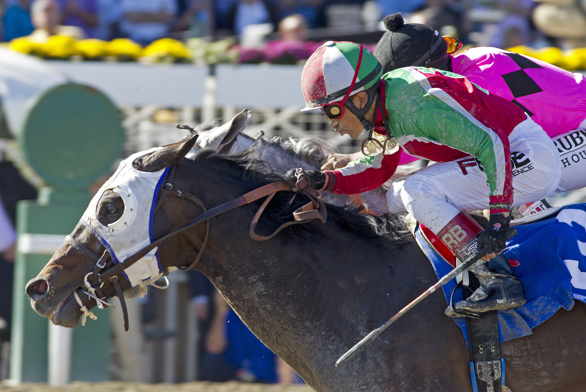 Zeewat wins the Damascus Stakes 11-2-13.