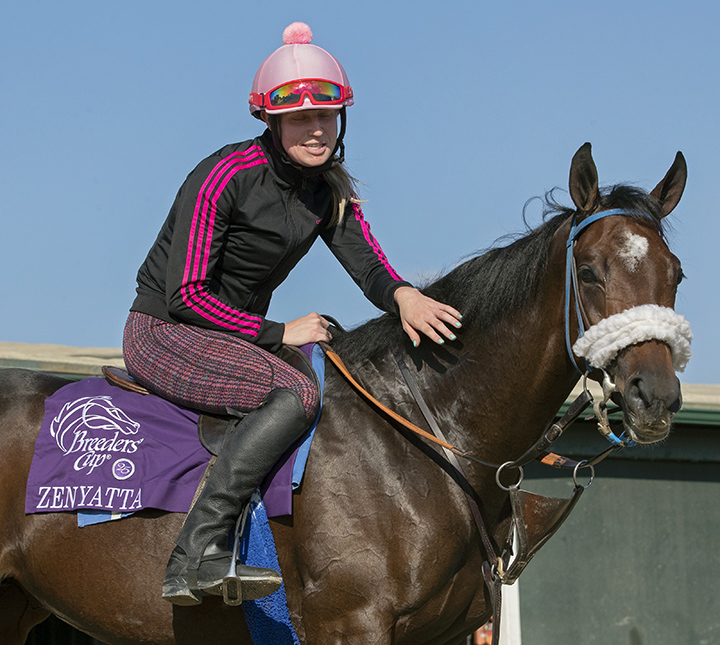 Zellda wearing Zenyatta's saddlecloth at Santa Anita Park on Oct. 27