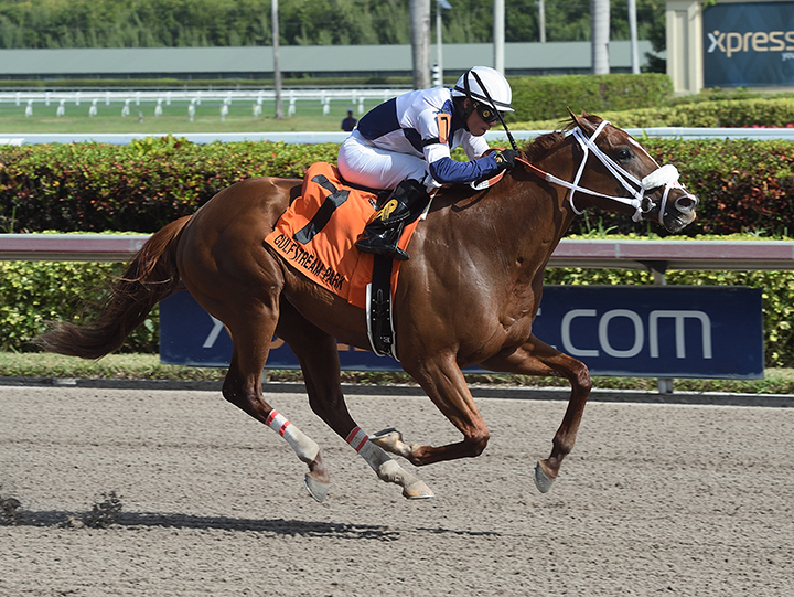Zenden wins the 2018 Buffalo Man Stakes