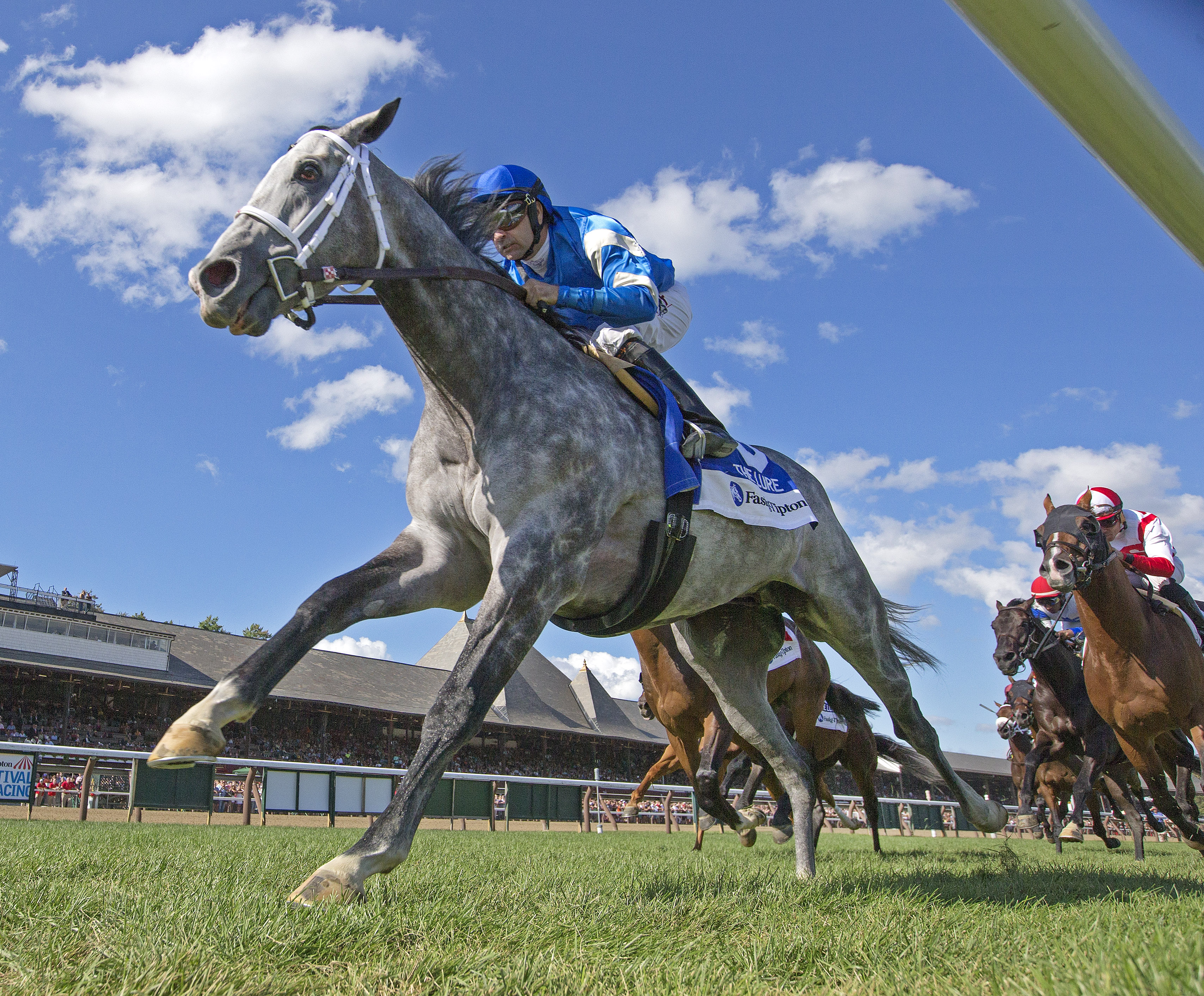 Zennor wins the Lure Stakes at Saratoga 8.5.17_BL