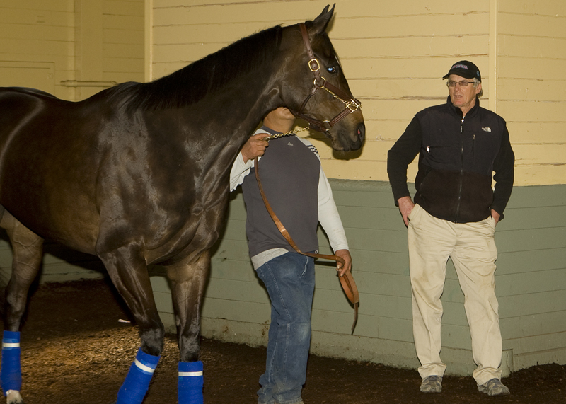 Zenyatta 3-11-2010
