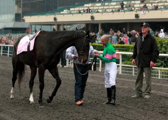 Zenyatta 12-5-2010