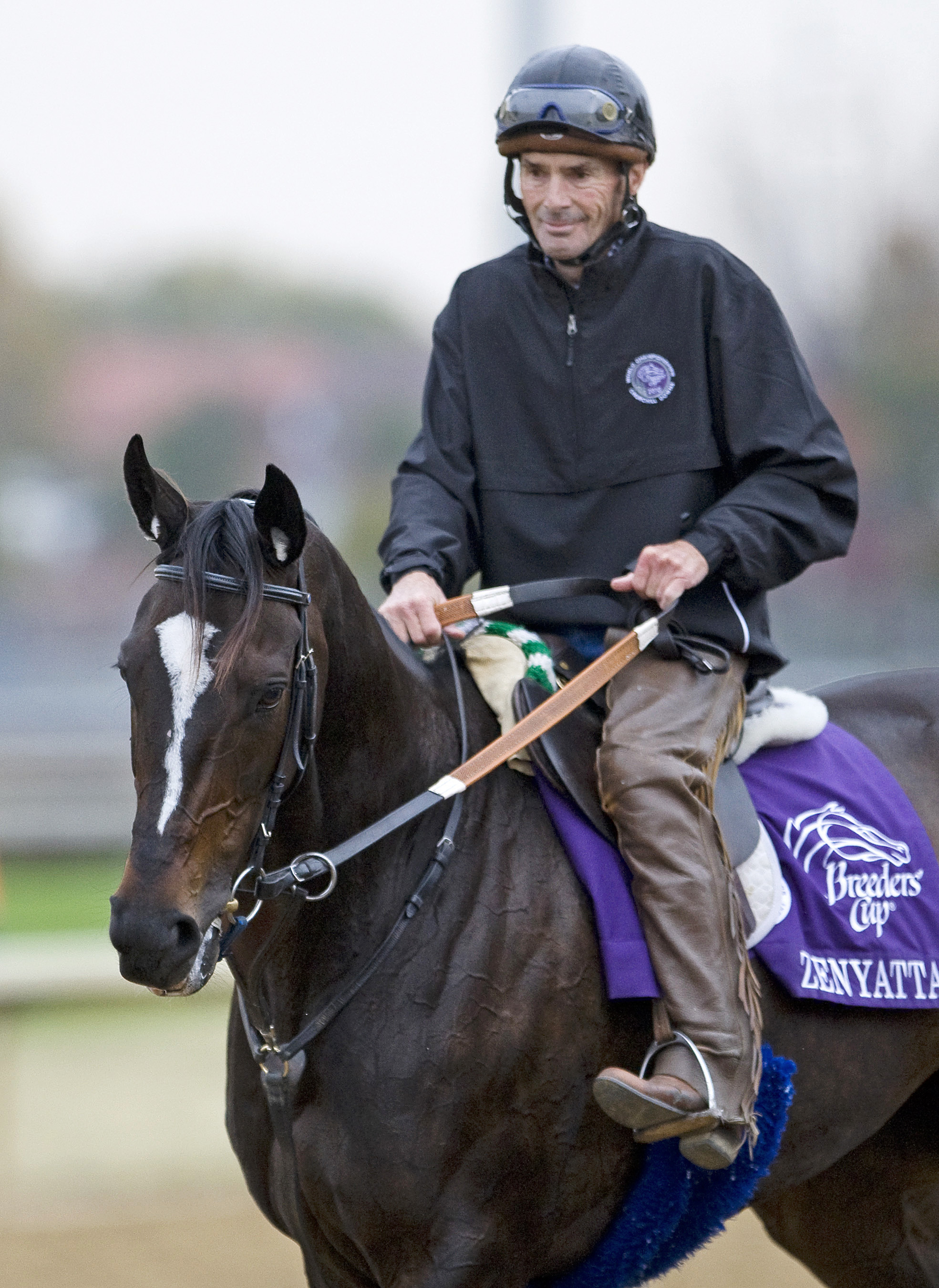 Exercise rider Steve Willard aboard Zenyatta in 2010