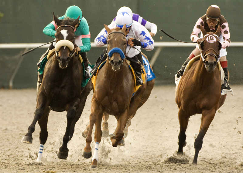 Dance to My Tune/Clement Hirsch (w/Zenyatta)