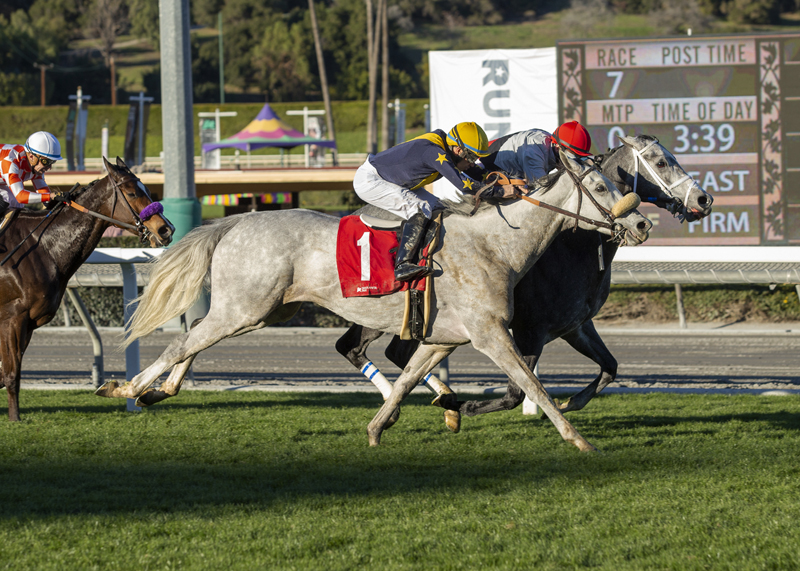 Zero Tolerance wins Las Cienegas 1-9-2022