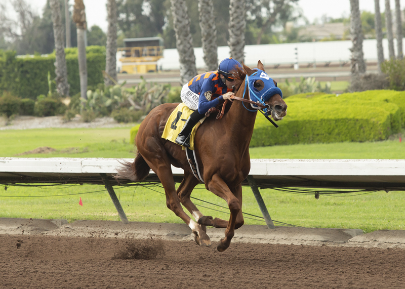 Zestful wins the 2019 Los Alamitos Special