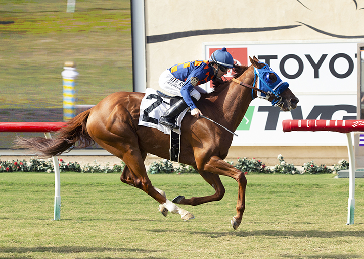 Zestful wins an Aug. 8 allowance race at Del Mar