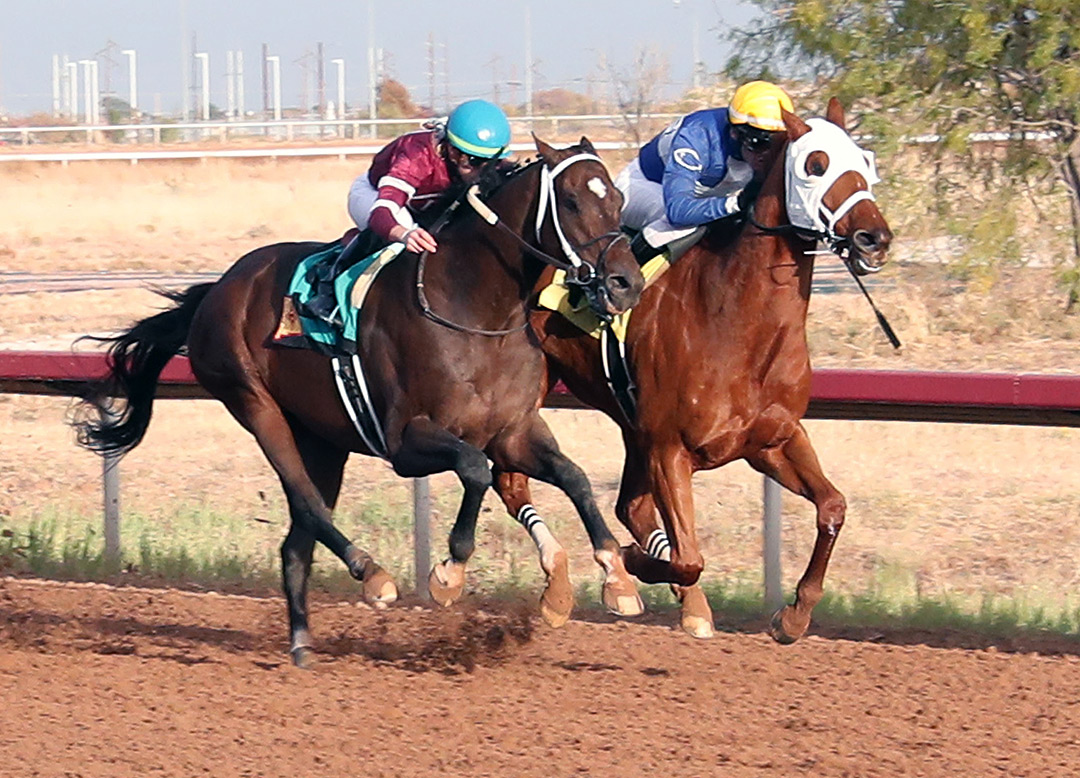 Zestful (right) wins the 2021 Zia Park Championship at Zia Park