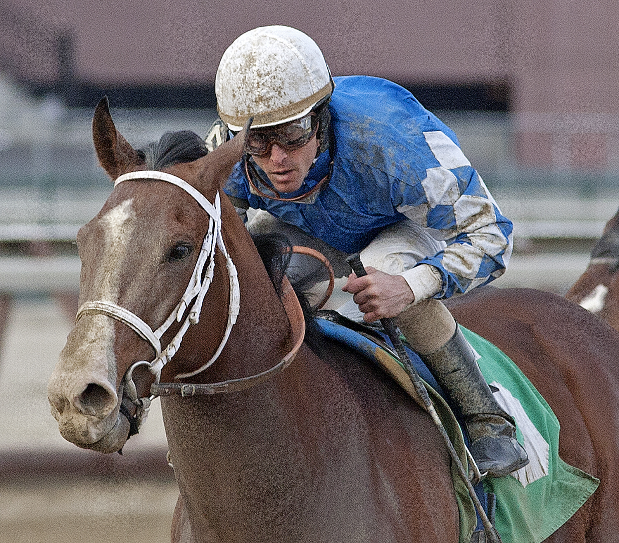 2012 Preakness: Dullahan, Trinniberg drop out, replaced by Teeth of the Dog, Zetterholm