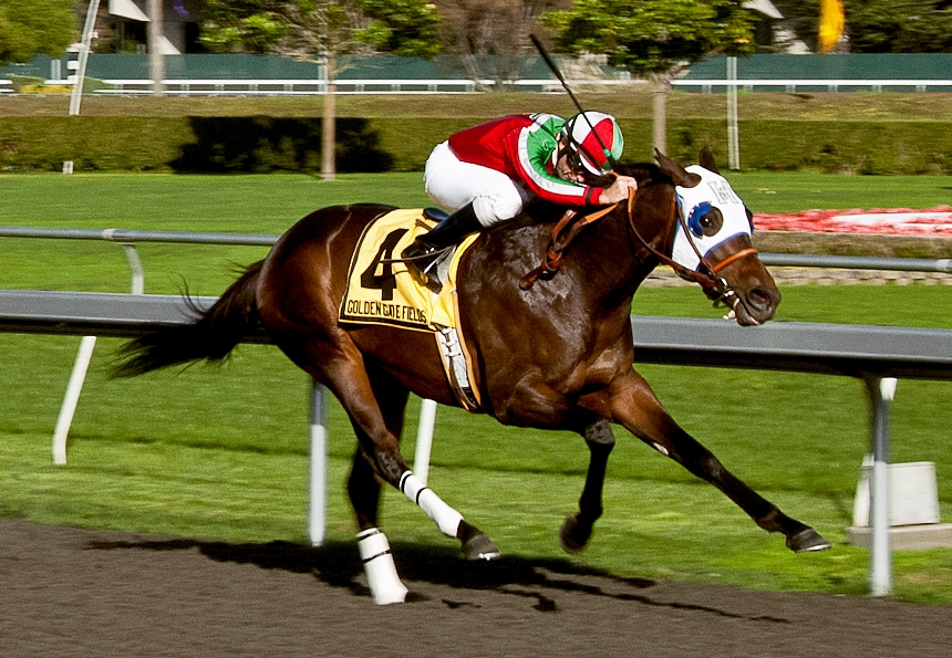 Zeewat, Gold Rush Stakes